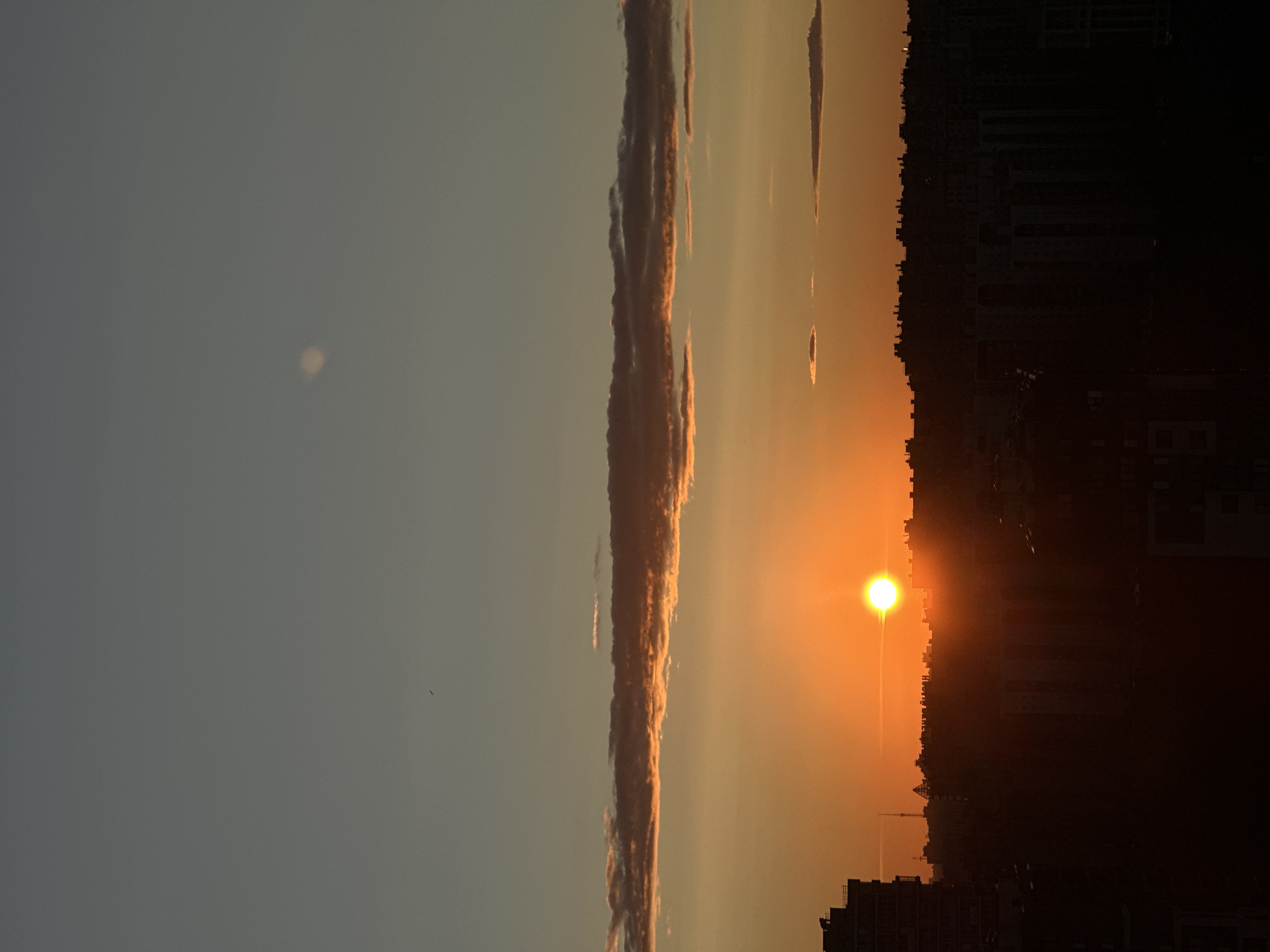 Scottish Fold cats watch a Russian city sunset from the windowsill