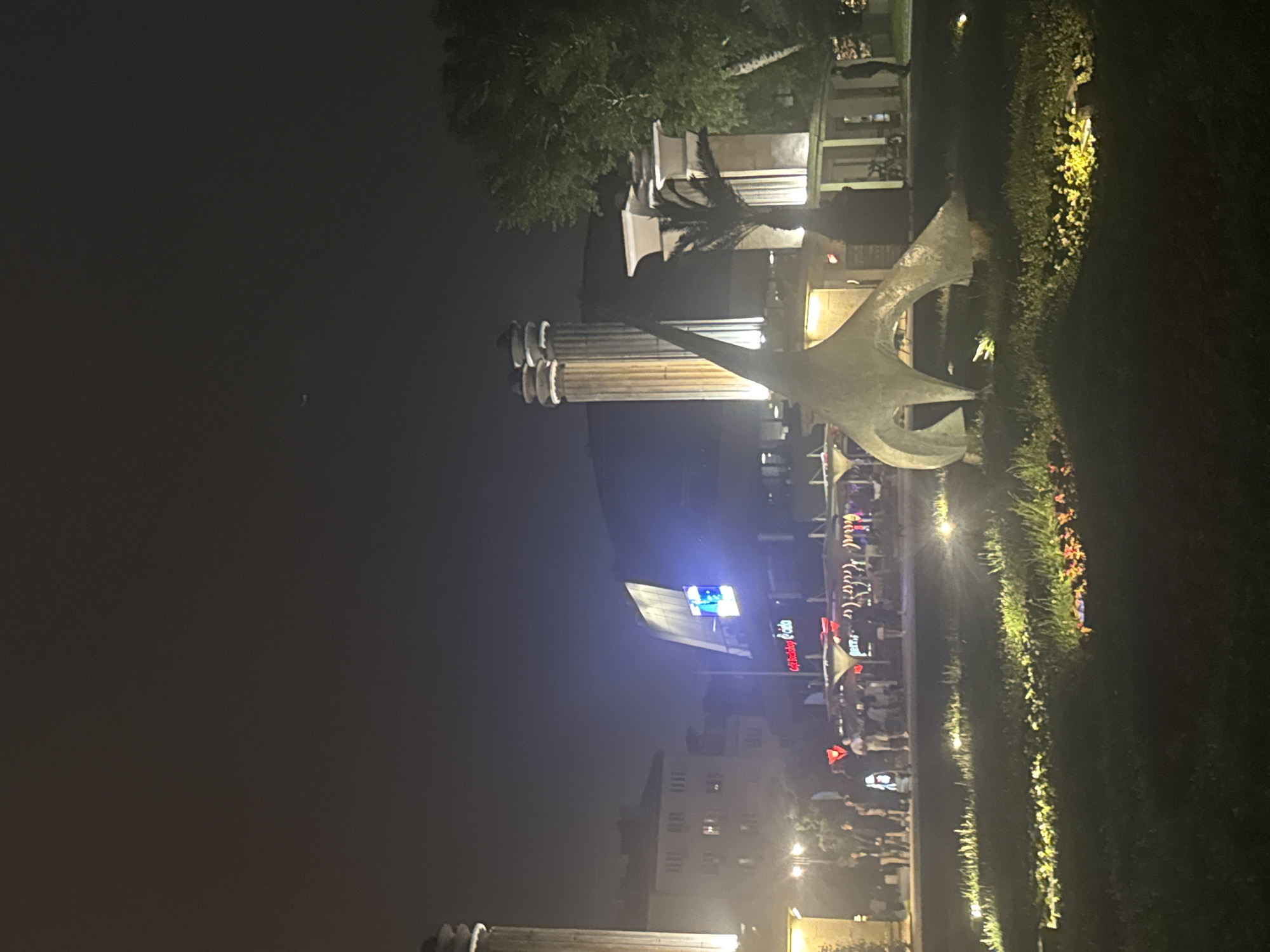 Evening visit to Gandhi statue and dining in Varna