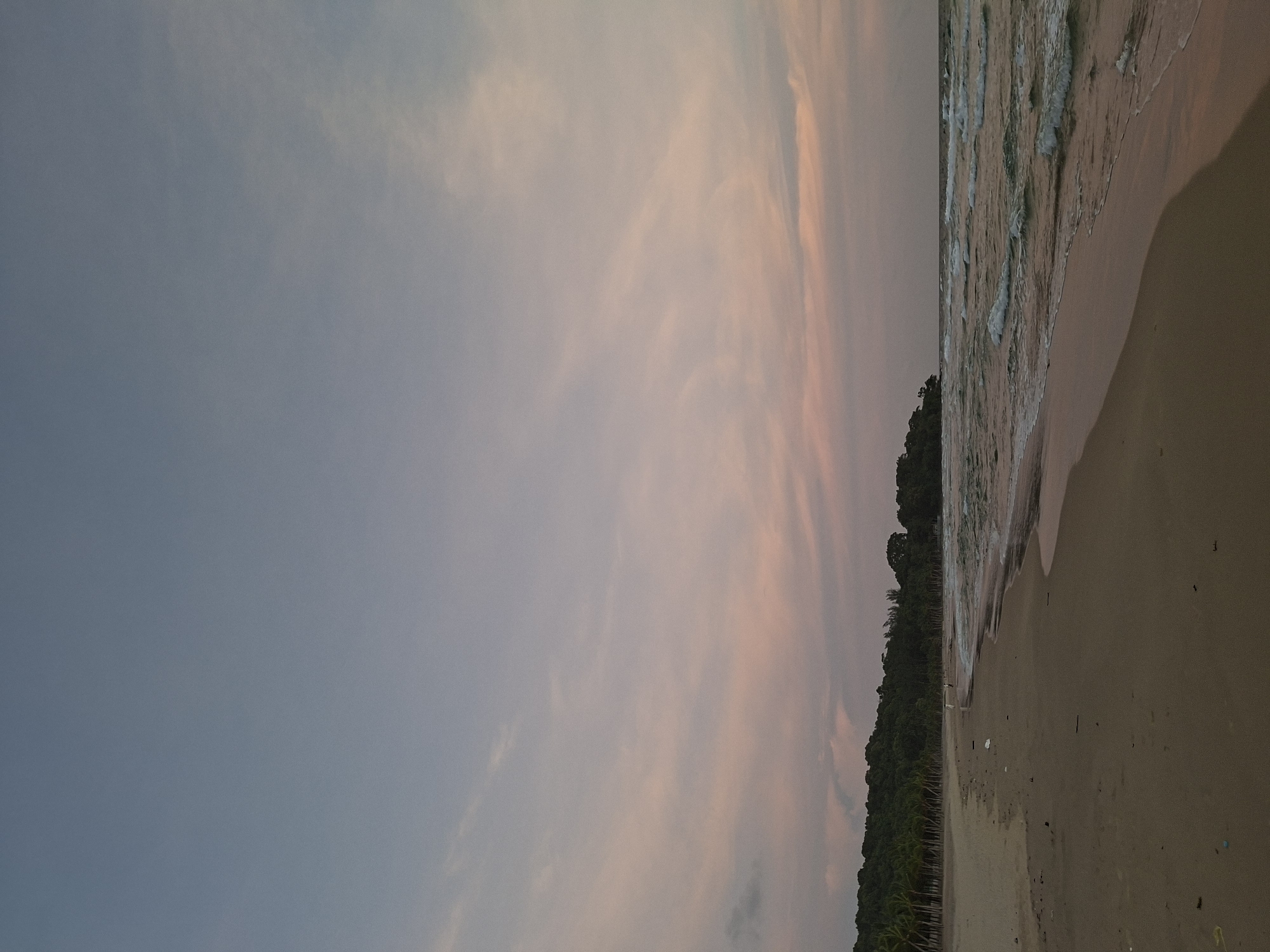 Dusk settles over a palm-lined beach at golden hour.