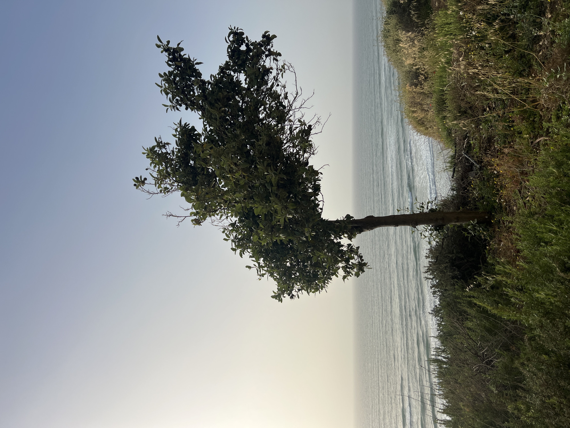 Afternoon scenes captured along Netanya's Mediterranean coastal walkway