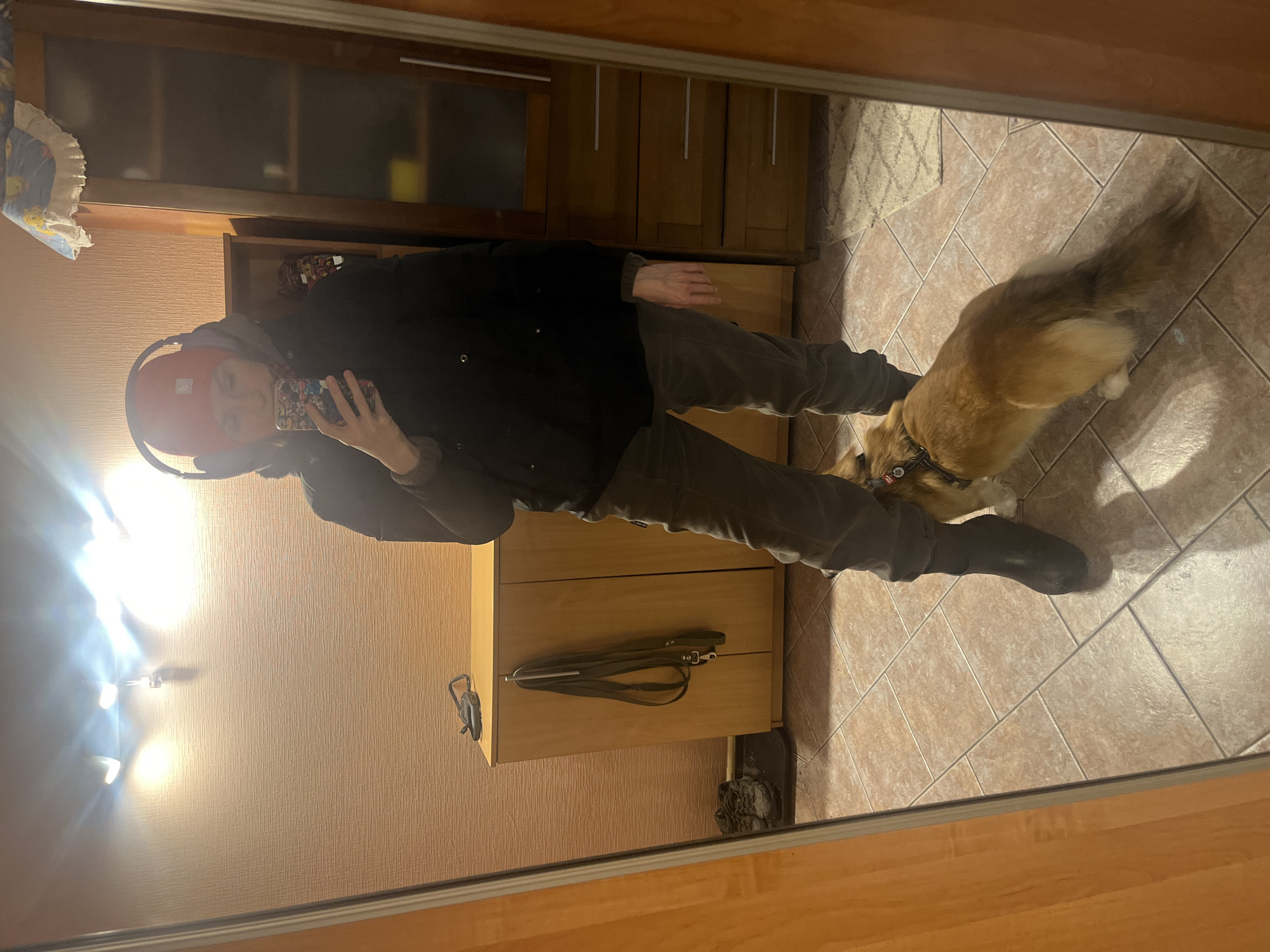 Person takes selfie with corgi in Novosibirsk home