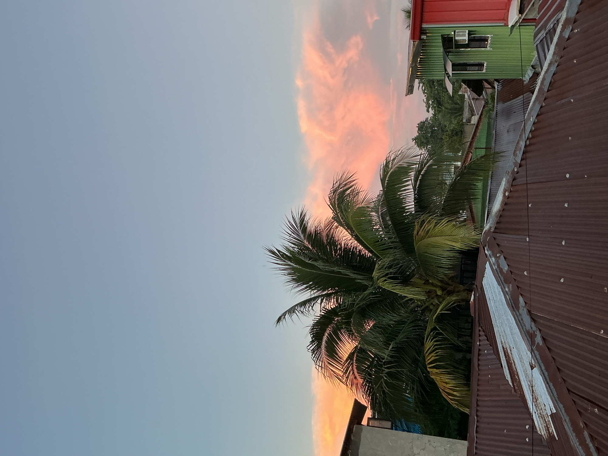 Davao City sunset evening at home, cats and all