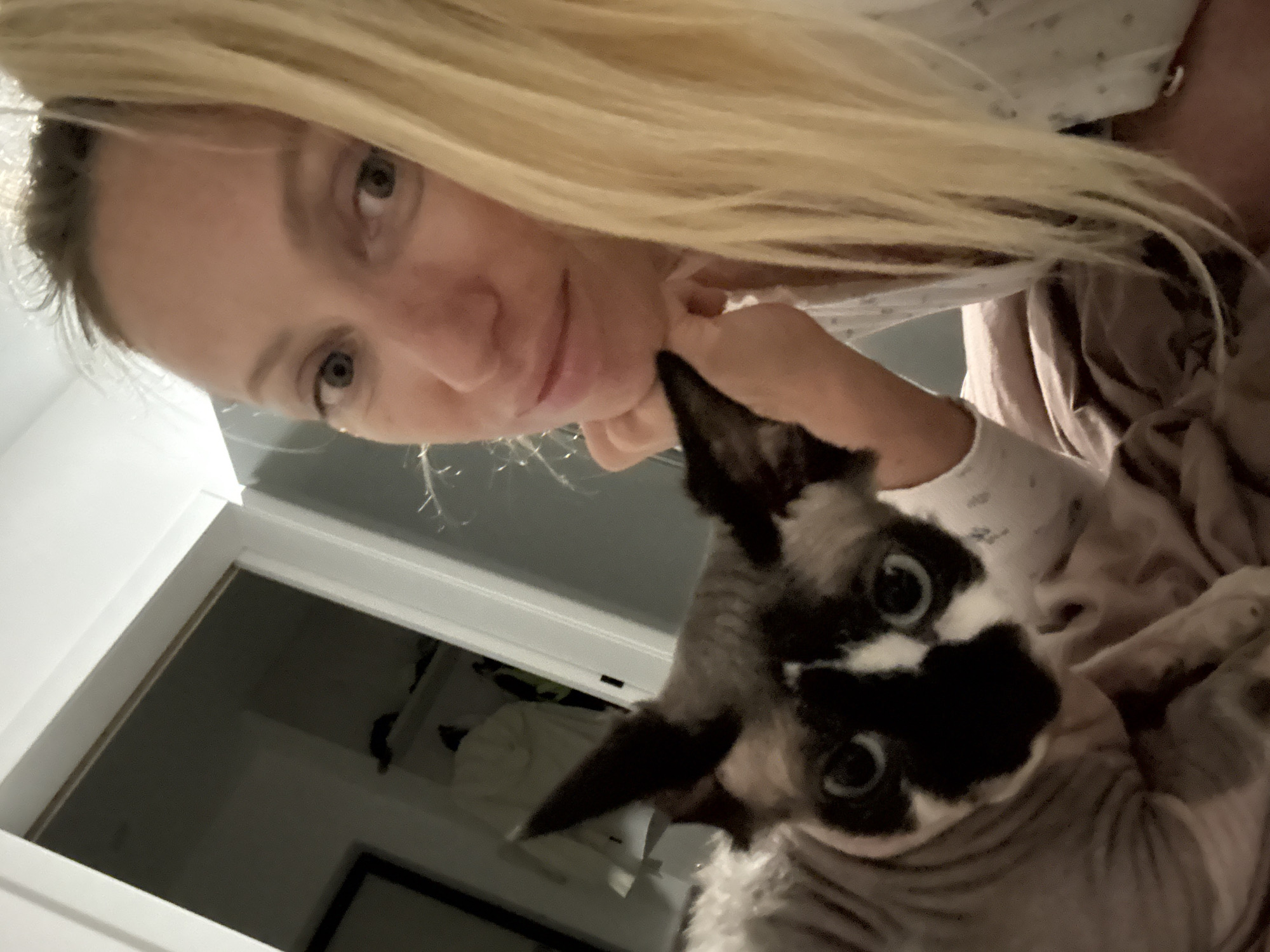 Lazy evening in Sochi with a Sphynx cat