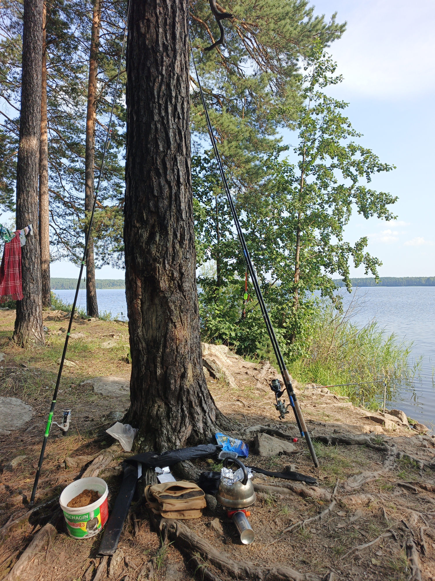 Lakeside camping day in Sarafanovo with fishing, kids, and dogs