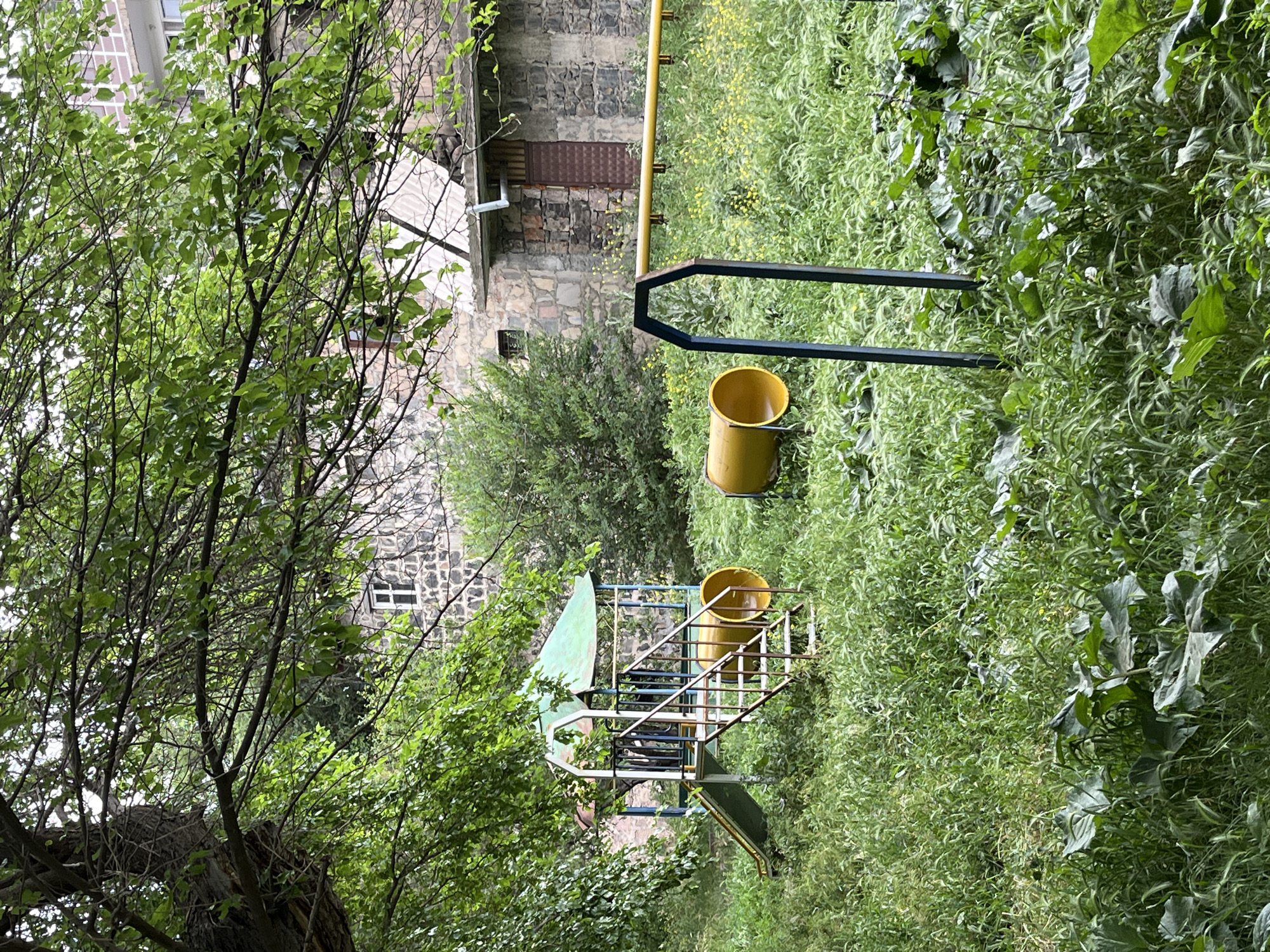 Overgrown playground spotted behind chain-link fence amid wildflowers