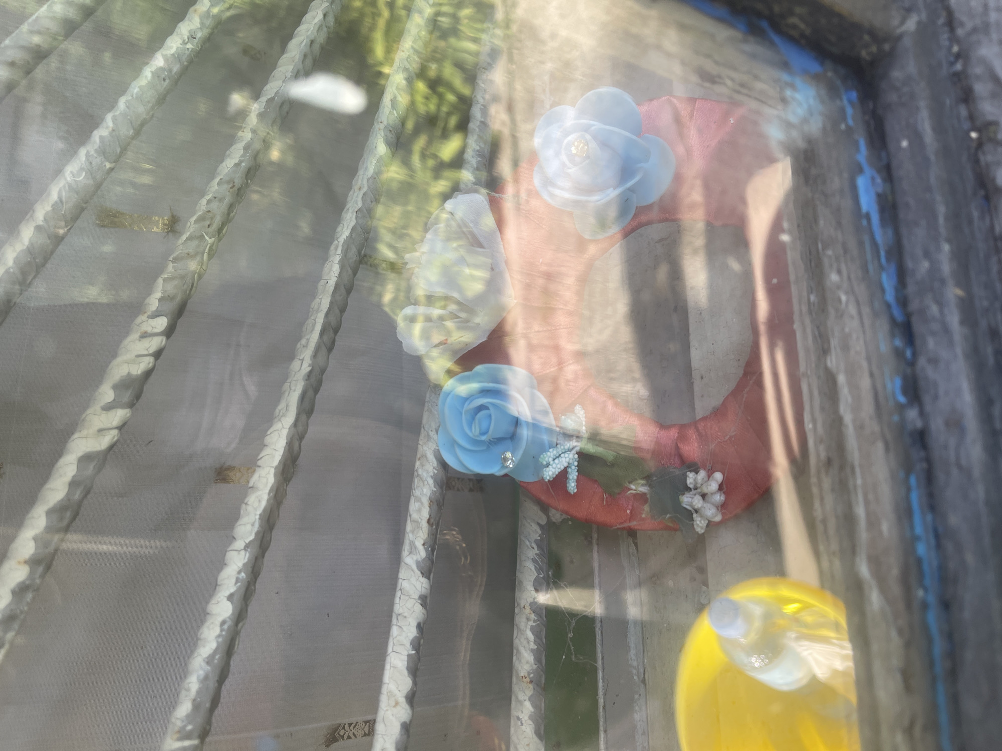Summer garden scene in Poltava — cherries, roses, and a wandering cat