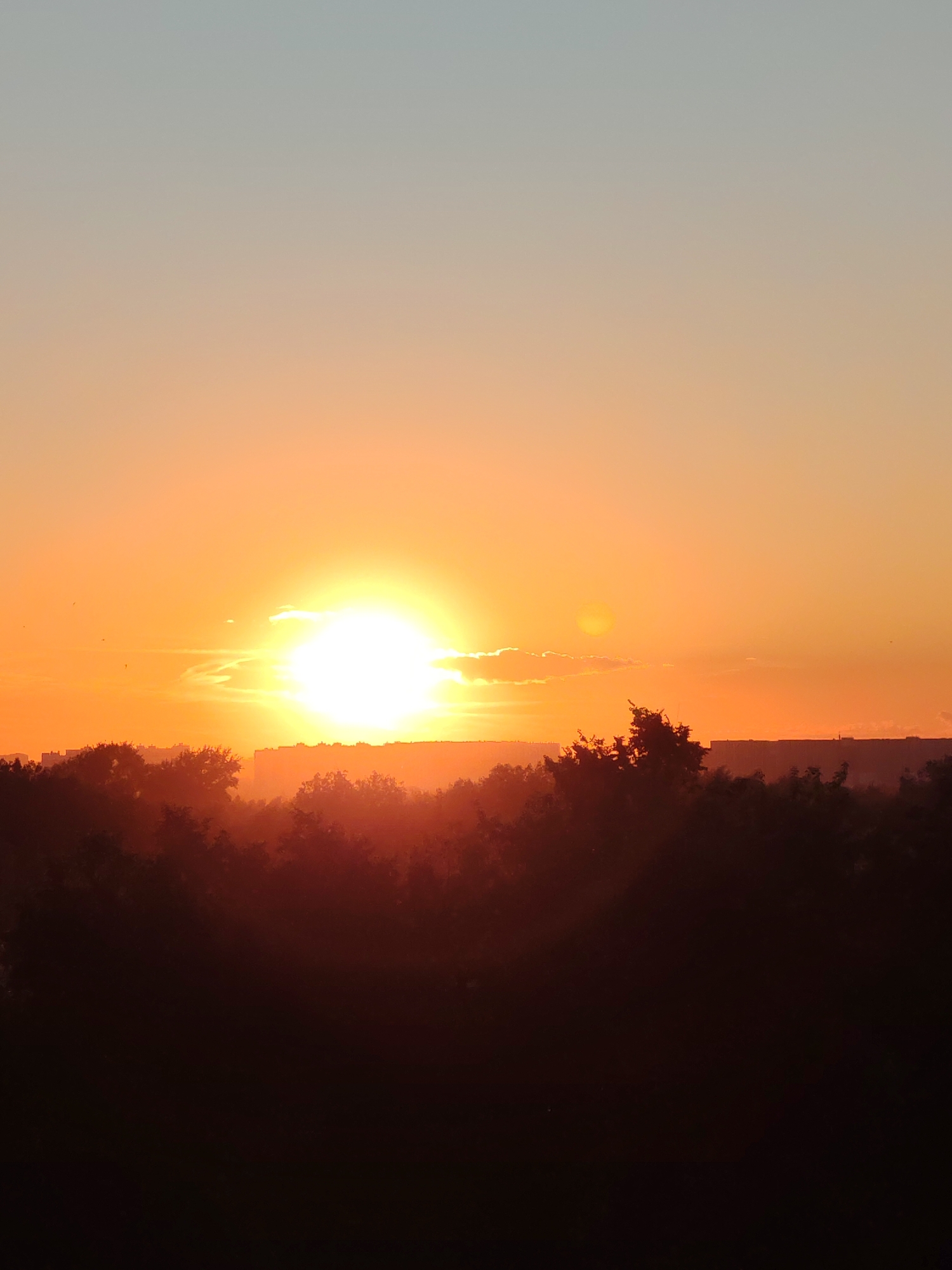 Summer evening scenes around Podolsk with flowers and sunset