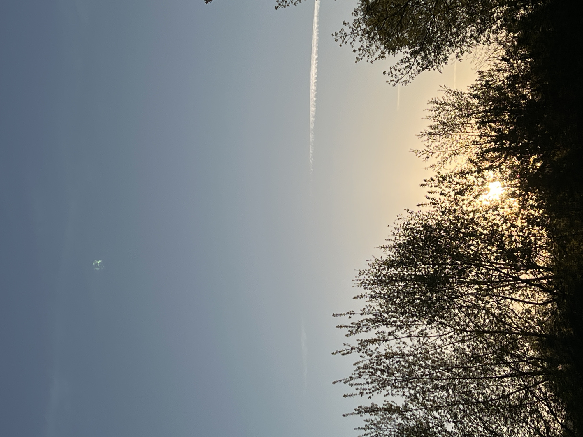 Aircraft contrail spotted over Sevlievo, Bulgaria early morning