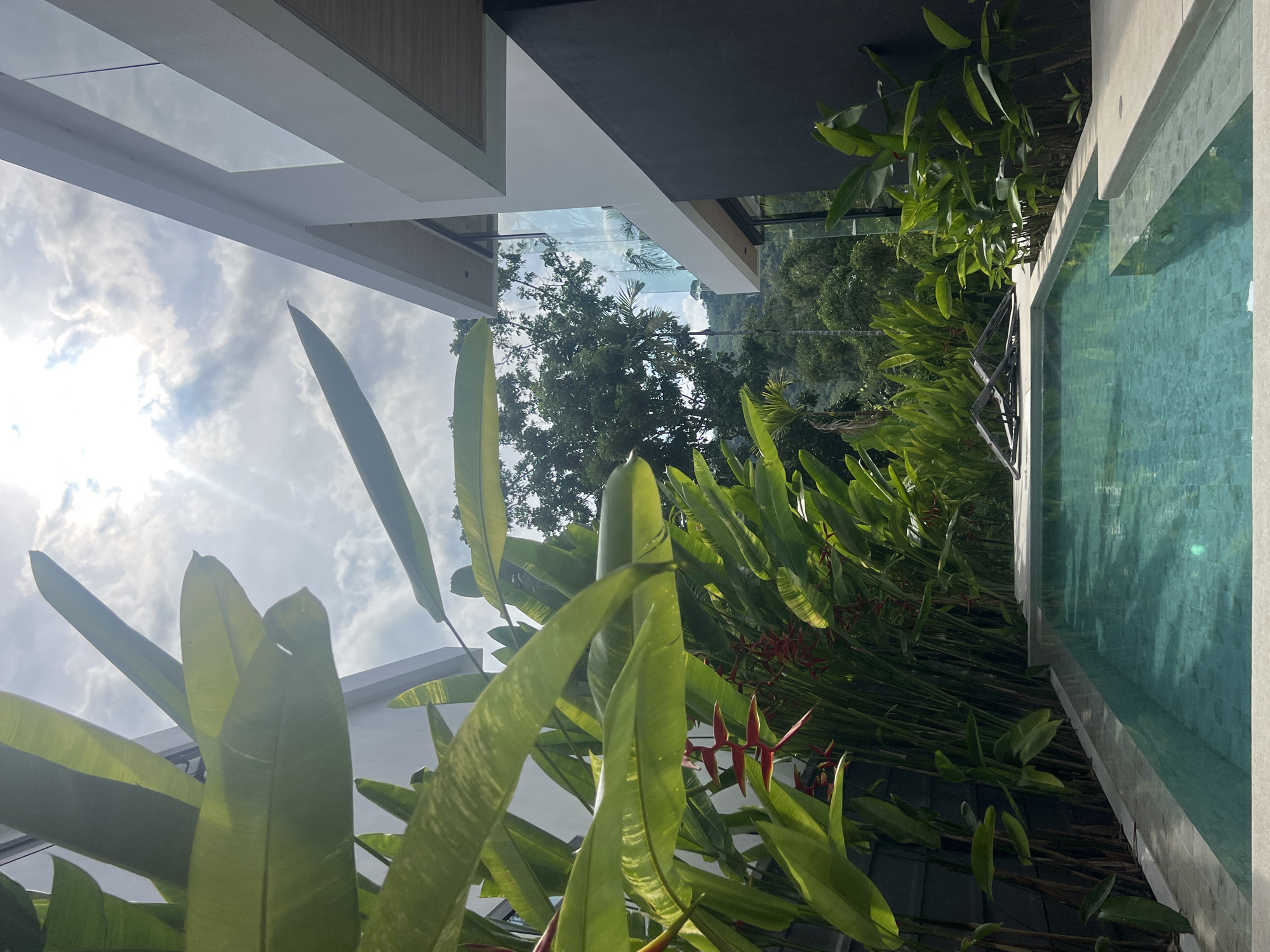 Morning scenes captured in tropical Sakhu, Thailand