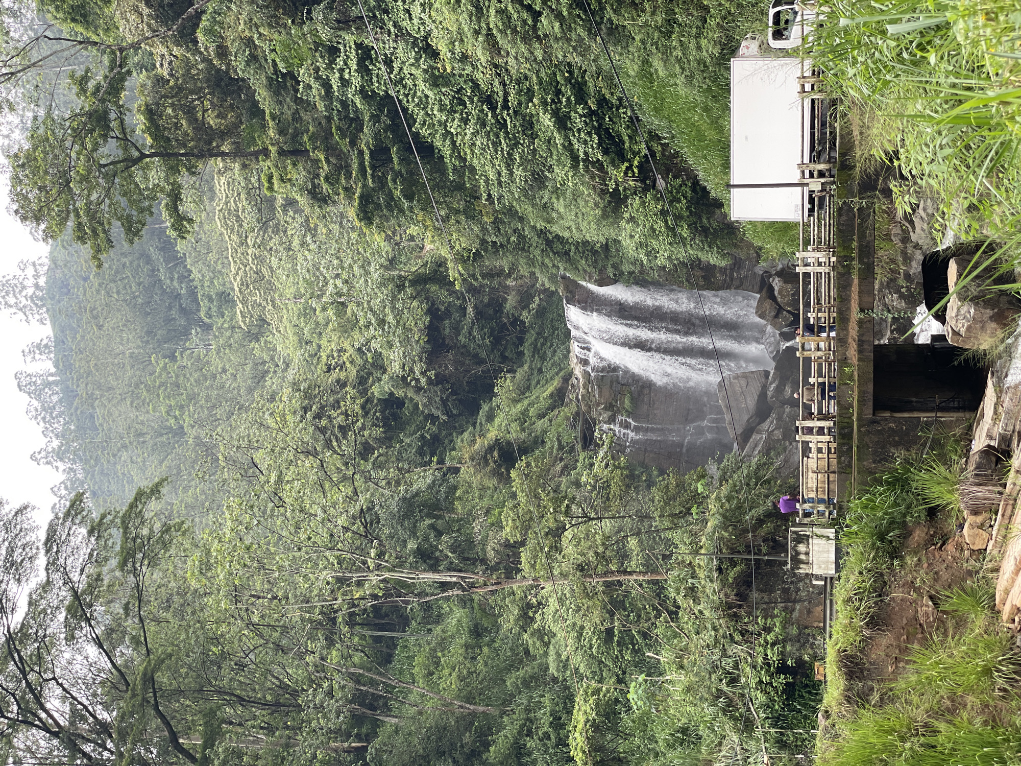 Early morning visitor observed at Ramboda Falls, Sri Lanka