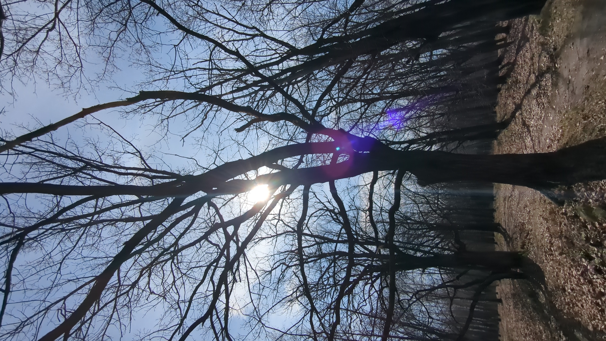 Spring day scenes captured in Ulyanovsk park by visitors