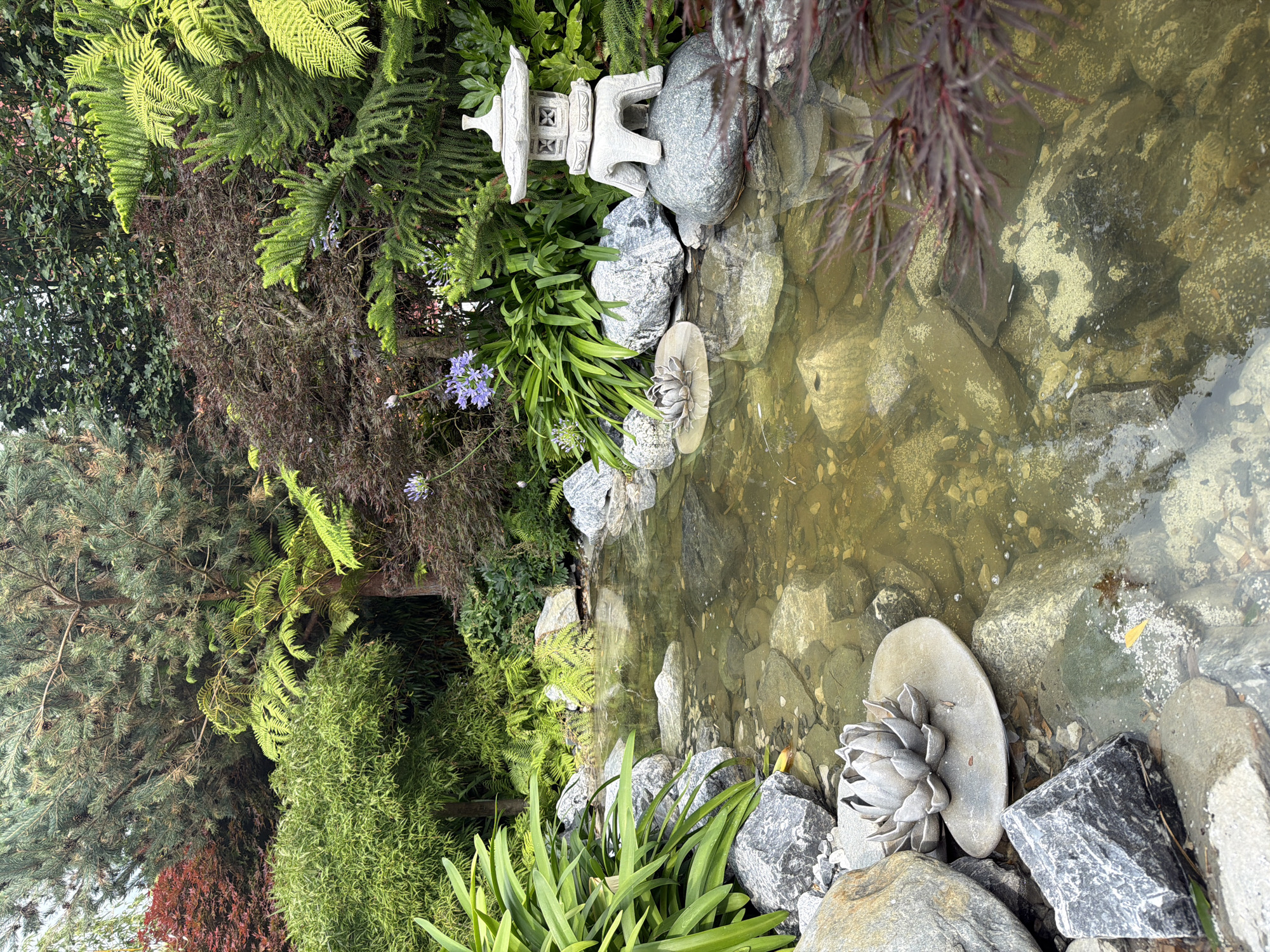 Garden details and a quirky TV display, same afternoon