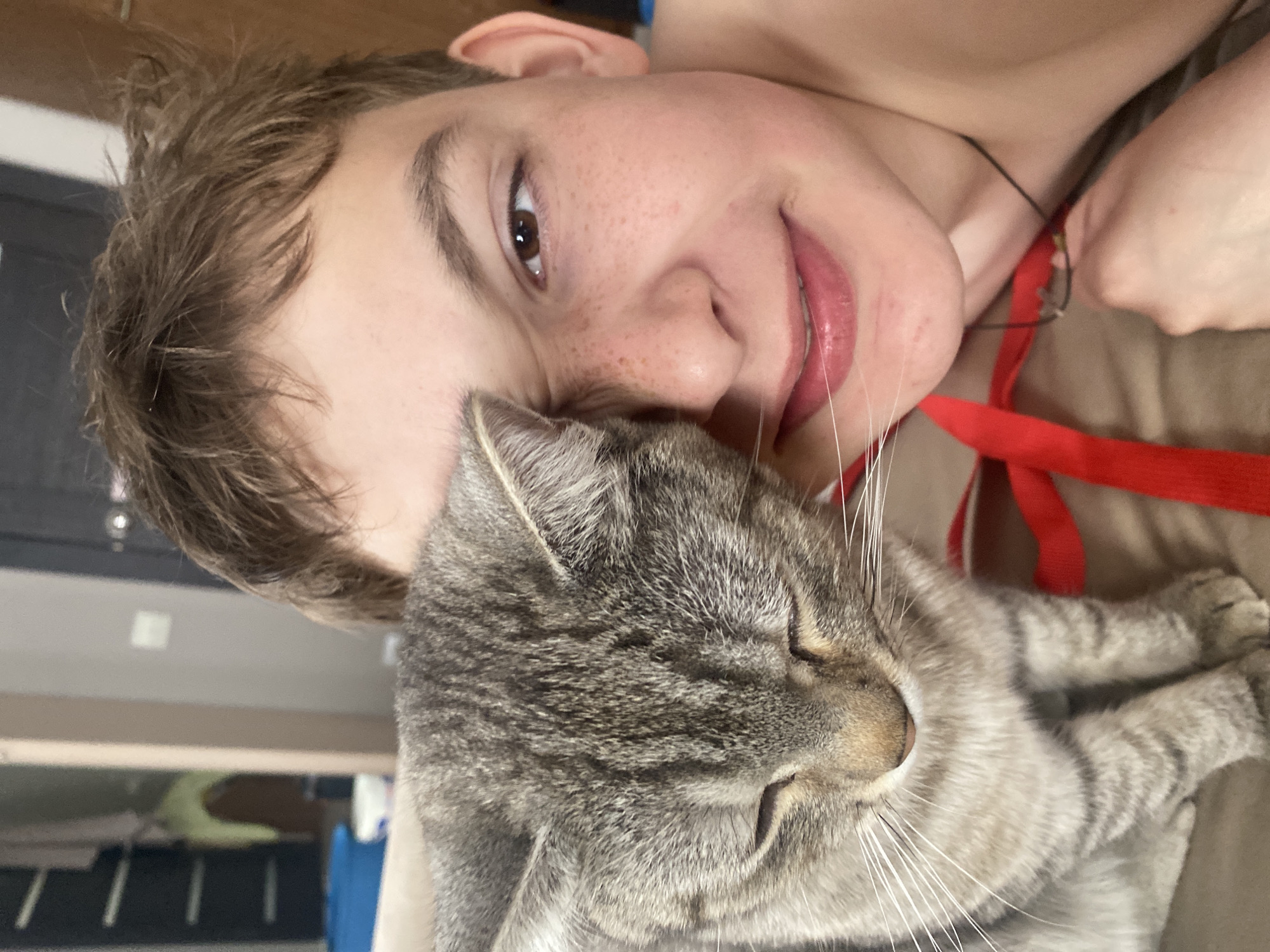 Young person shares quiet moment with gray tabby cat