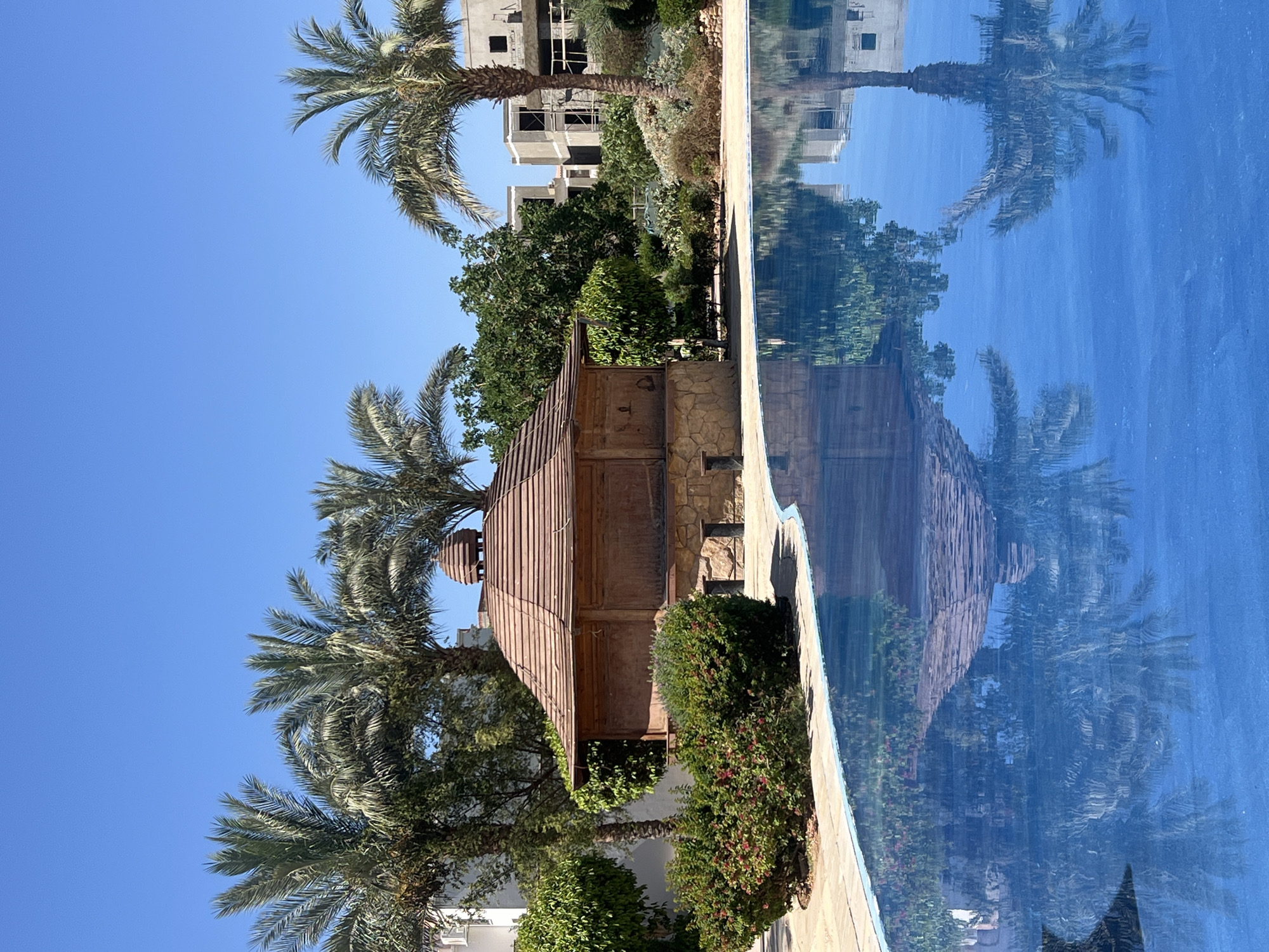 Resort morning in Sharm El Sheikh, cats, pools, and gardens