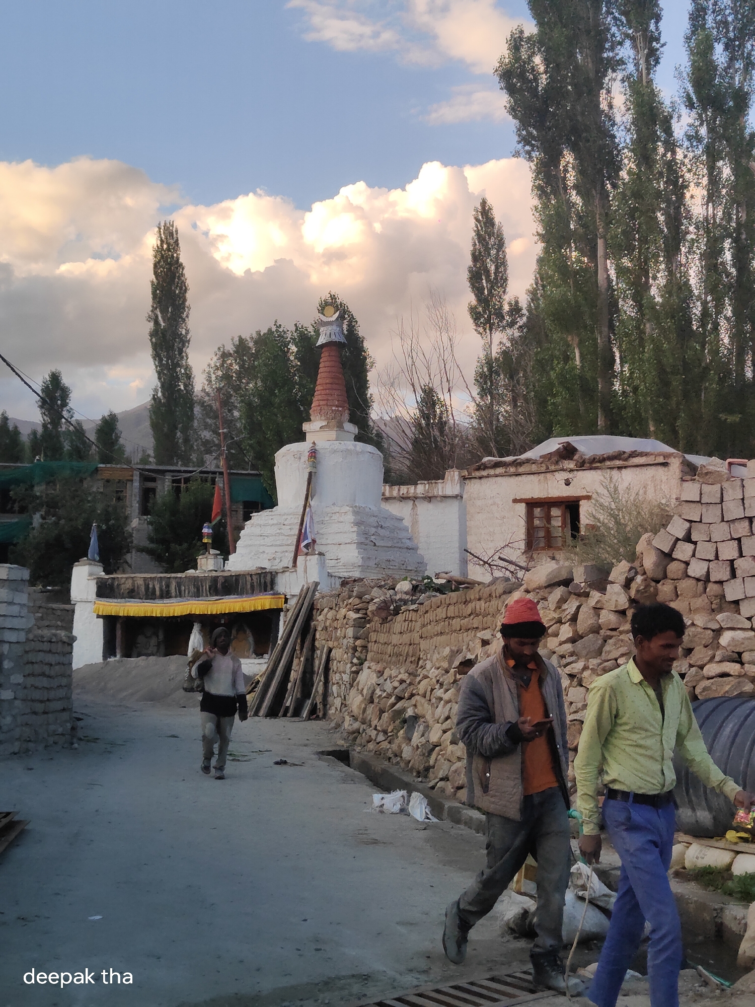 Street-level Leh: stupas, prayer wheels, and resting dogs