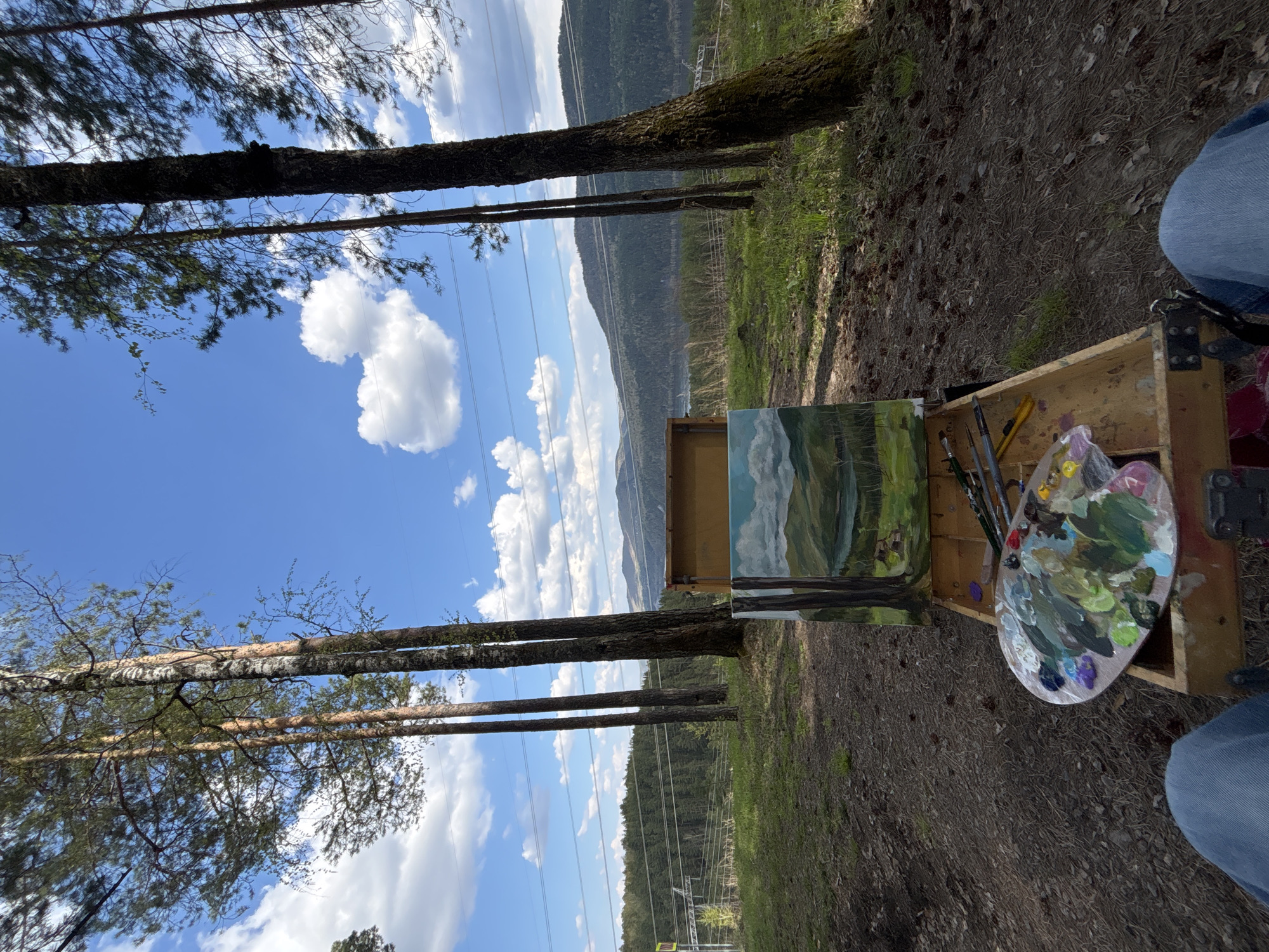 Artist paints Yenisey River landscape outdoors in Krasnoyarsk forest