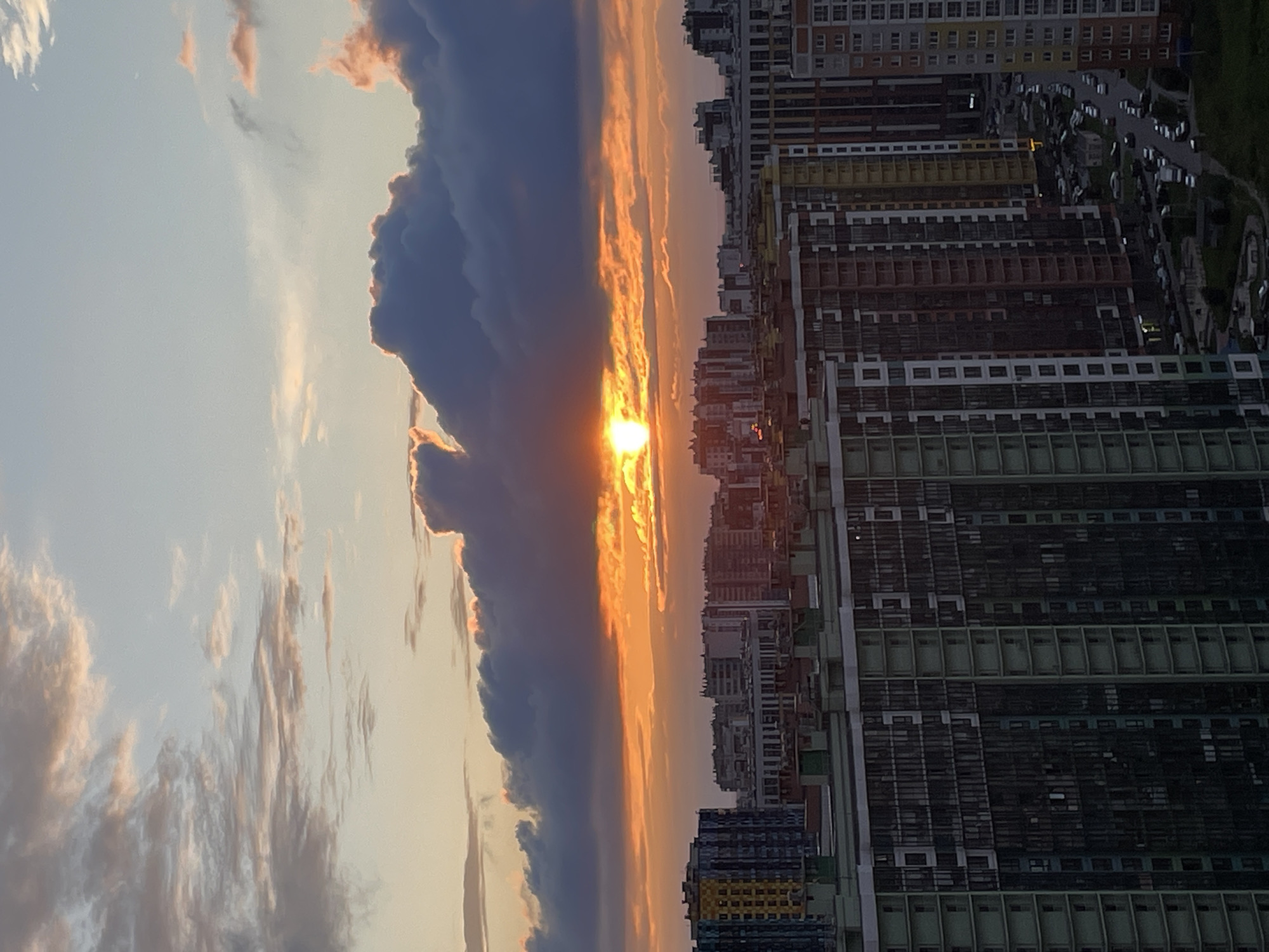 Sunset over a Russian city, a cat indoors, plants on the sill