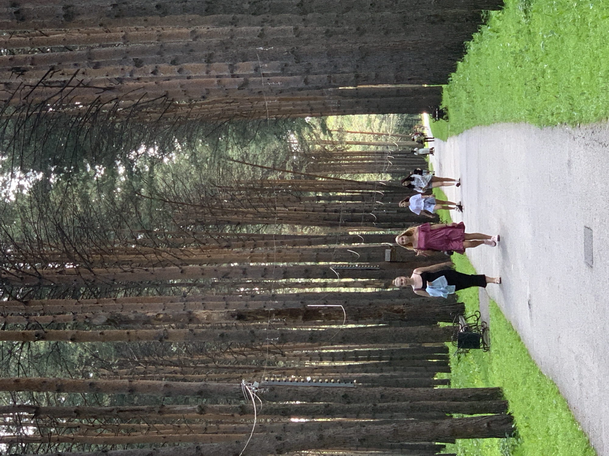 Sunny morning in a Prokopyevsk park: paths, playgrounds, and wildlife