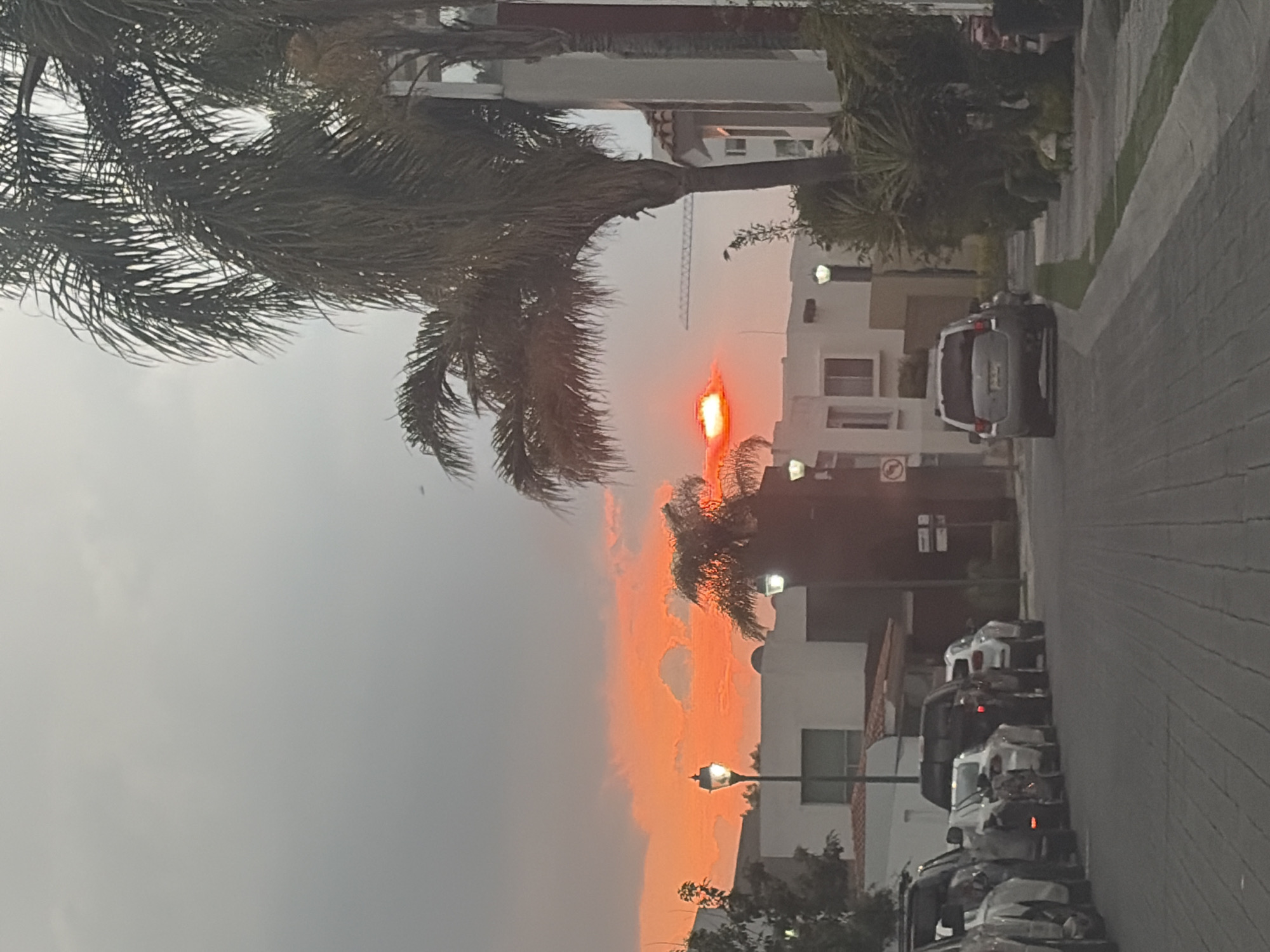 Urban sunset scenes and toy turtle captured in brief sequence
