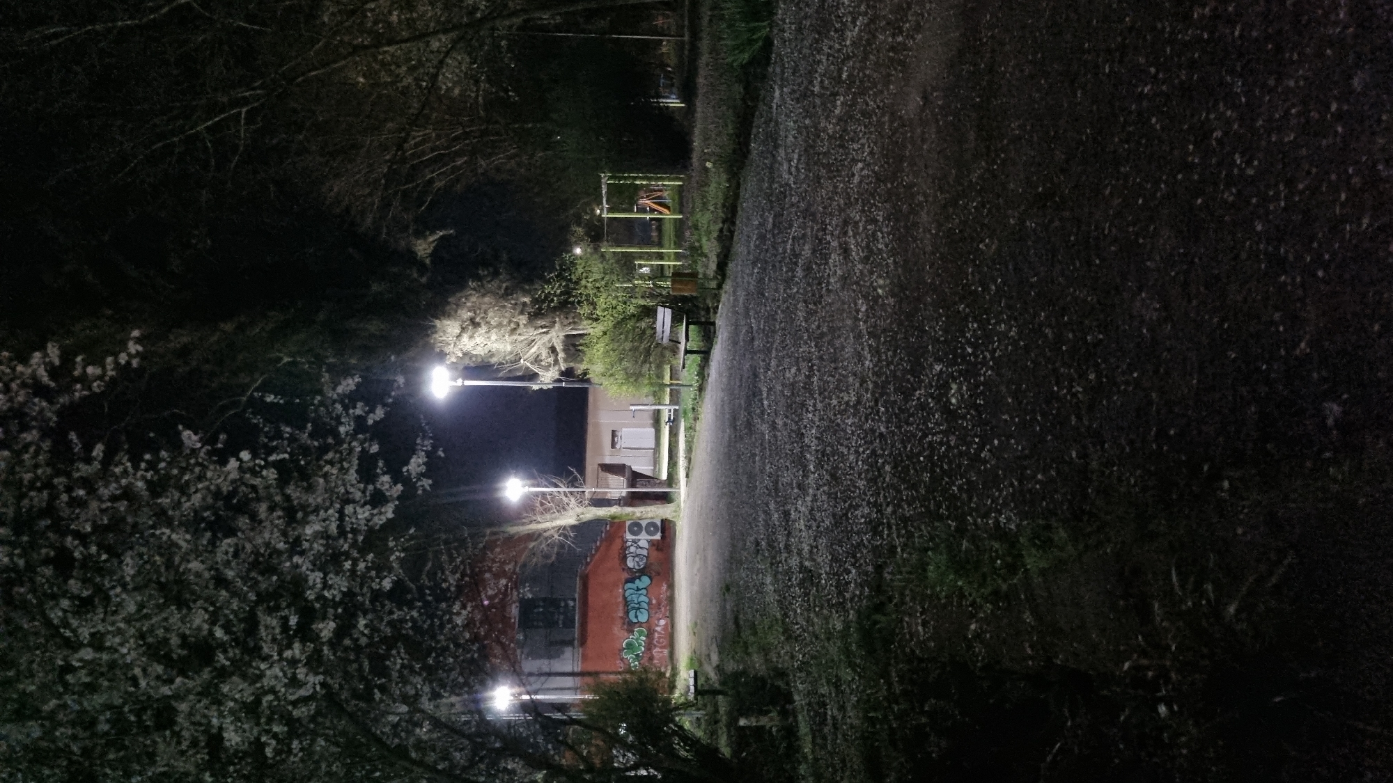 Nighttime pathway scene documented in Pchelnik, Bulgaria park area