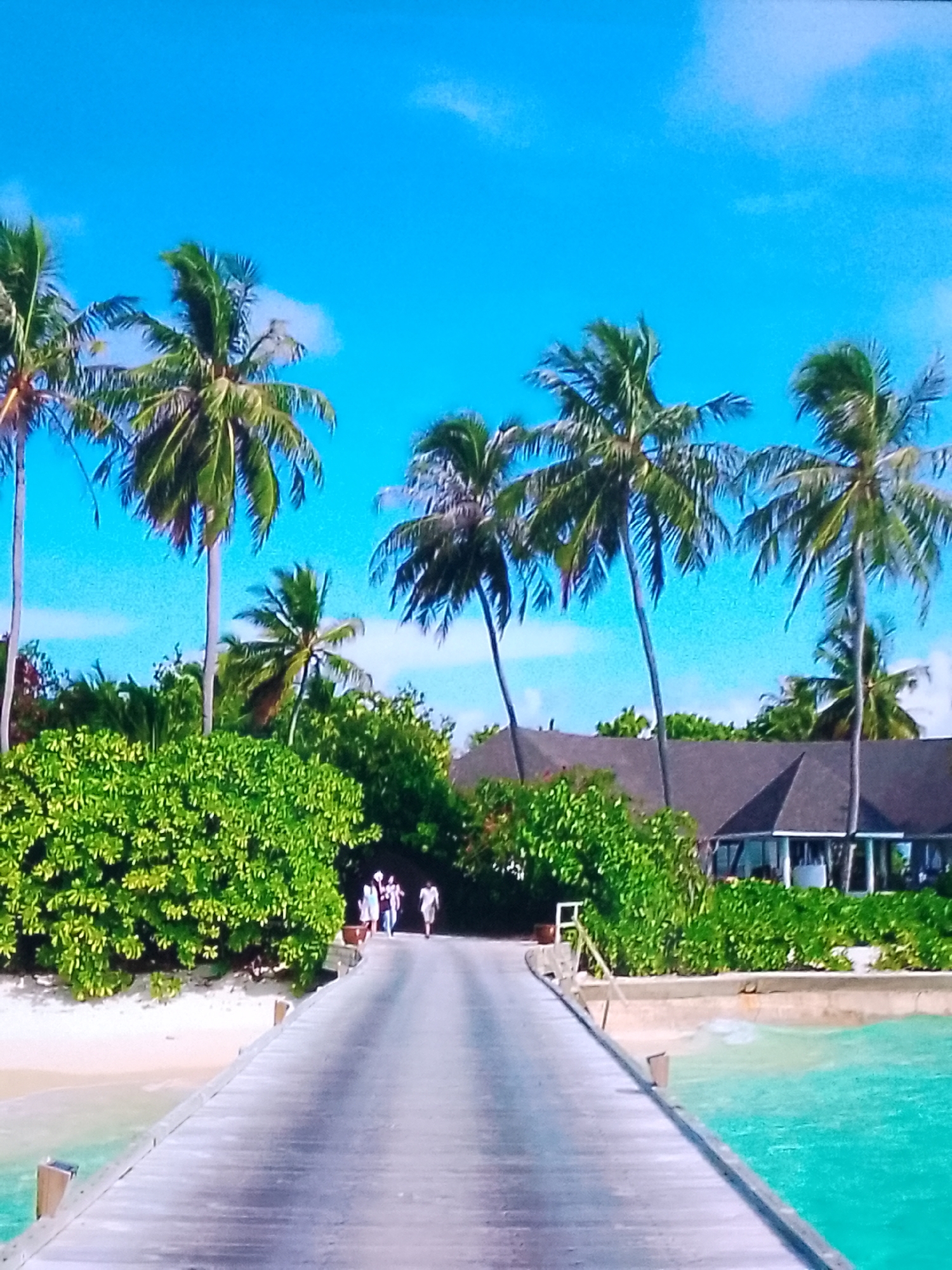 Tropical resort browsing and vacation accessories from Chișinău
