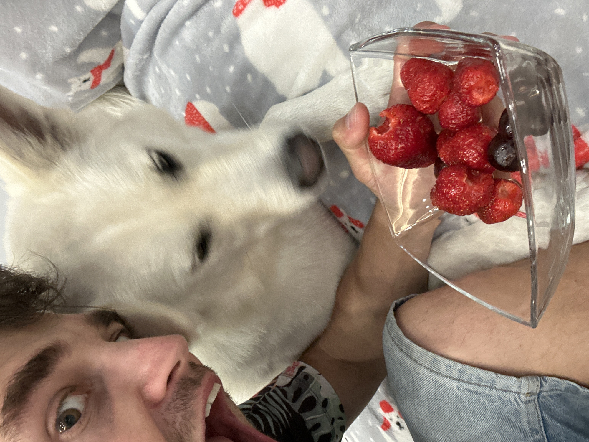 Sunday snack time with white German Shepherd in Rassokha