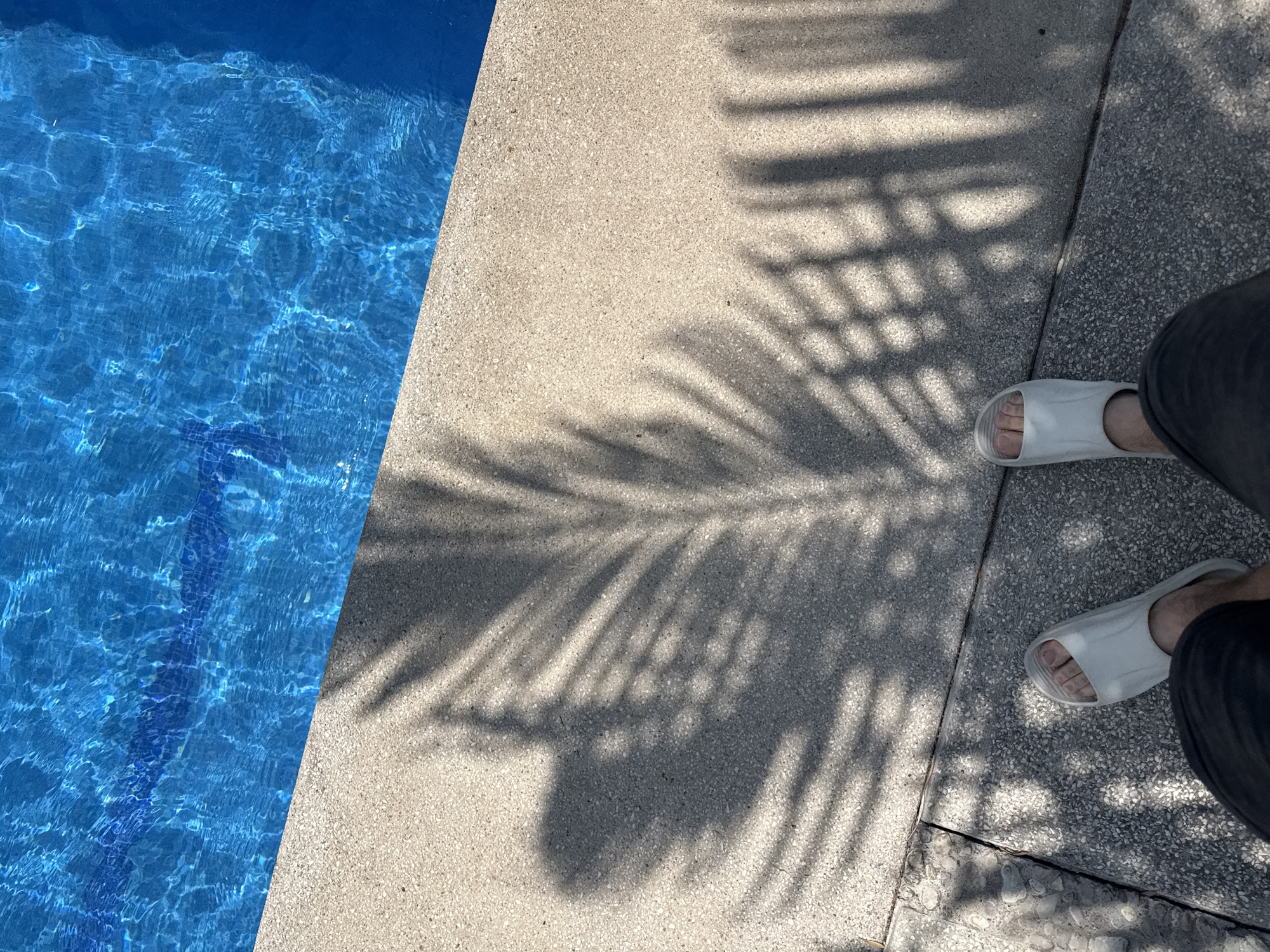 Garden tour documented at Atlixco residence features tropical plants, pool