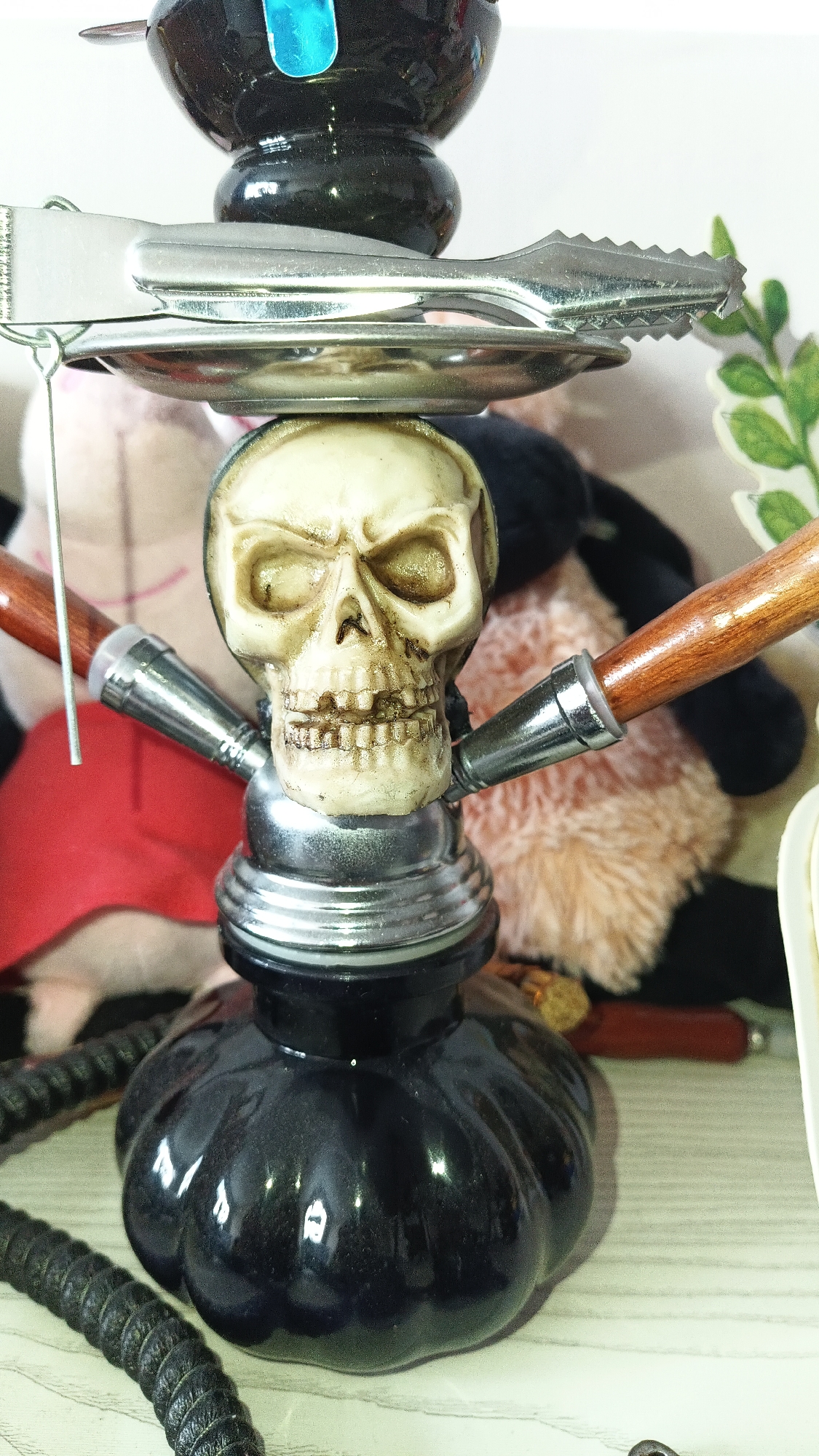 Personal items collection documented in Bulgarian town