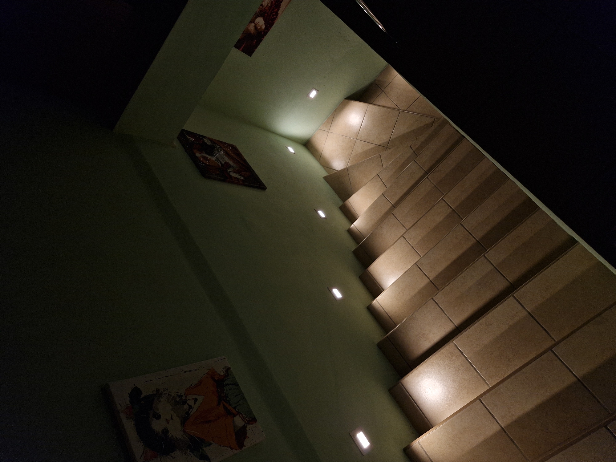 A quiet Lviv evening: wet streets, a tabby cat, and small objects at home