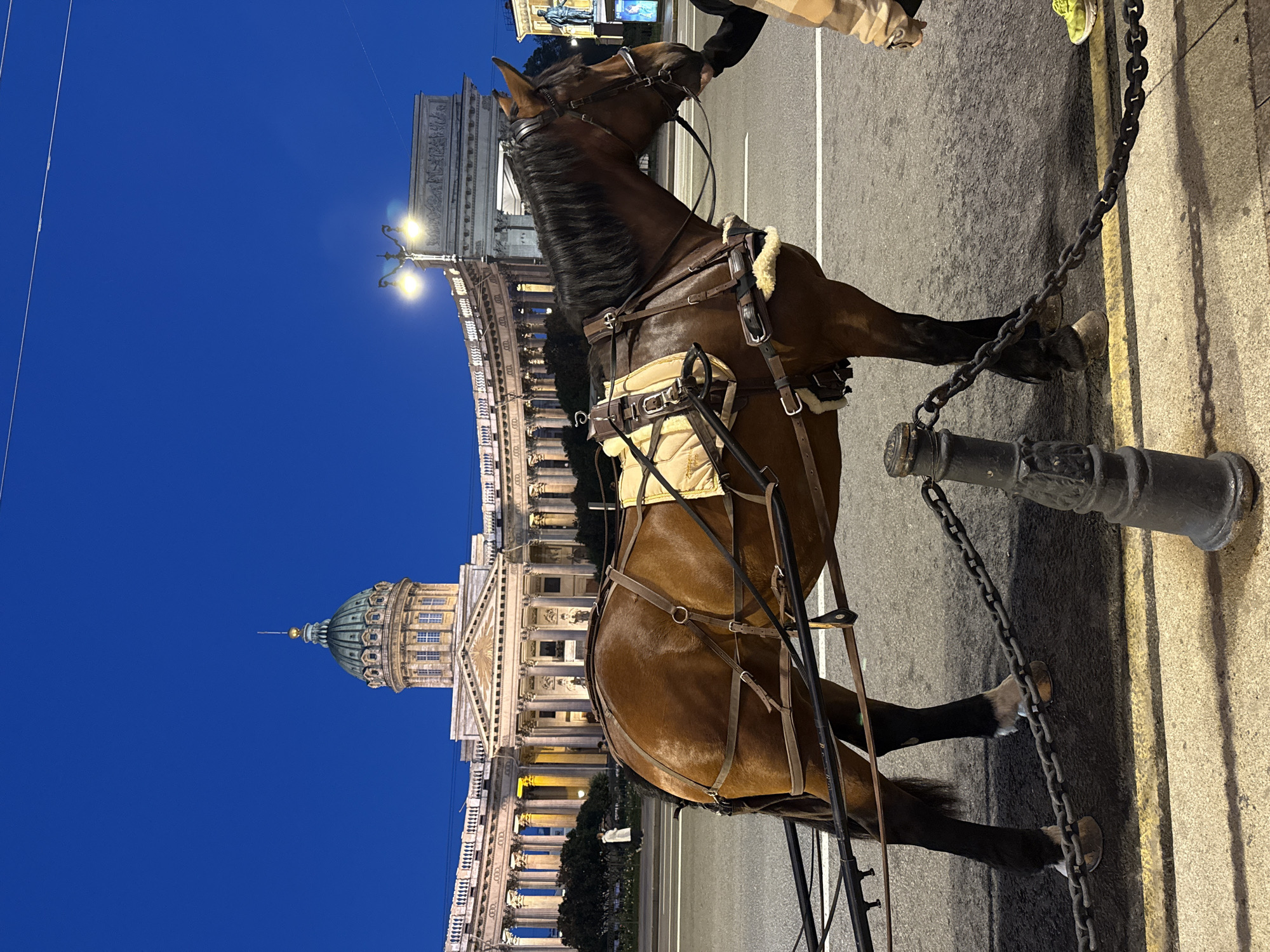Horse-drawn carriage outside illuminated Saint Petersburg landmark at dusk
