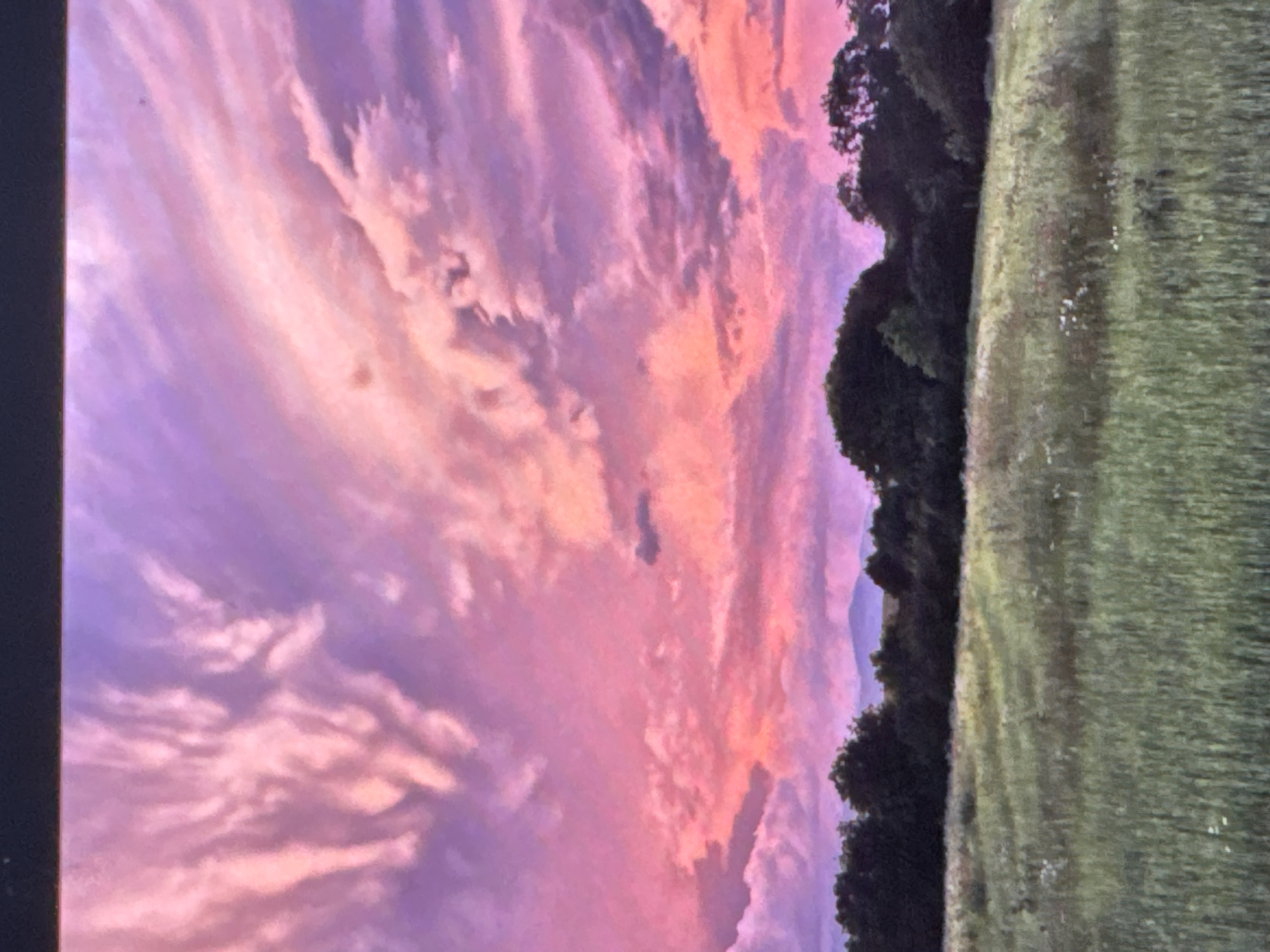 Kittens and sunset captured in Tvarditsa, Bulgaria