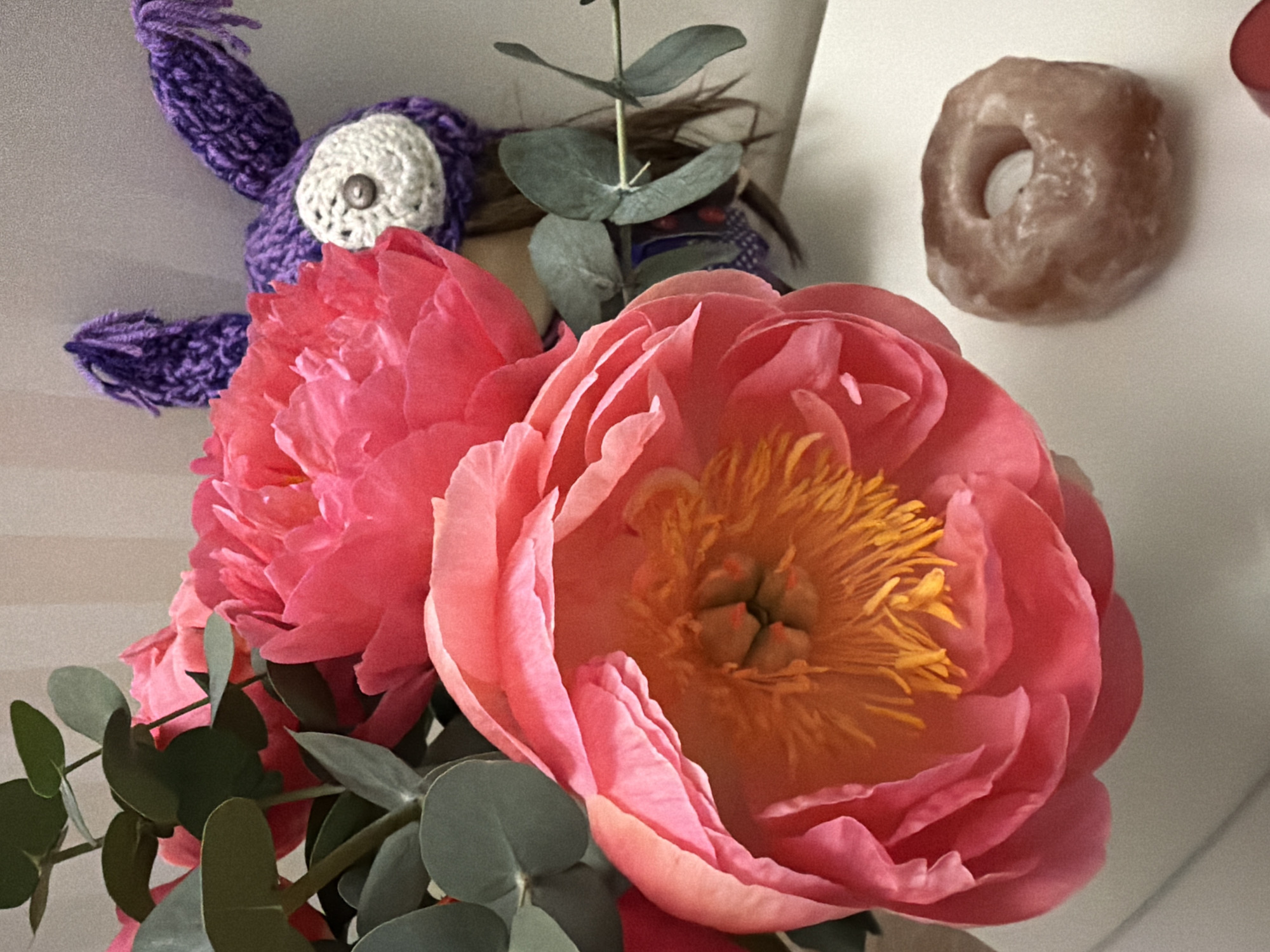 Pink peony bouquet photographed with handmade doll in Russia