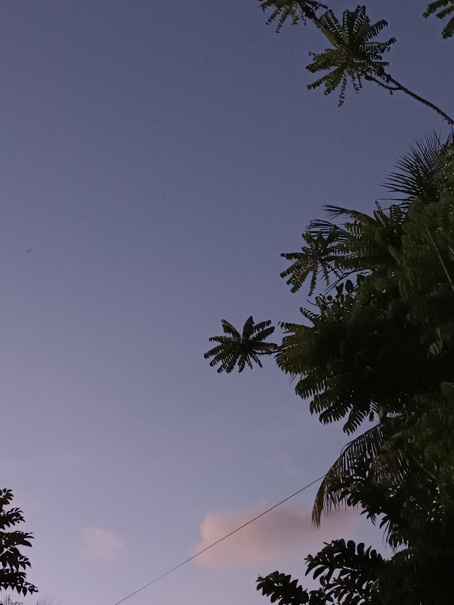 Dusk or dawn sky and road, semi-rural setting