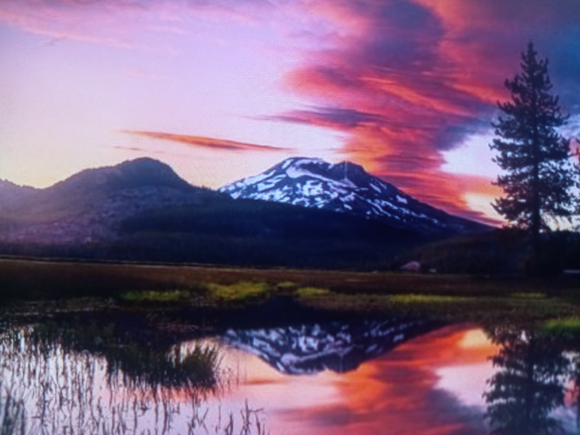 Nature scenes and park illustrations across photos and artwork