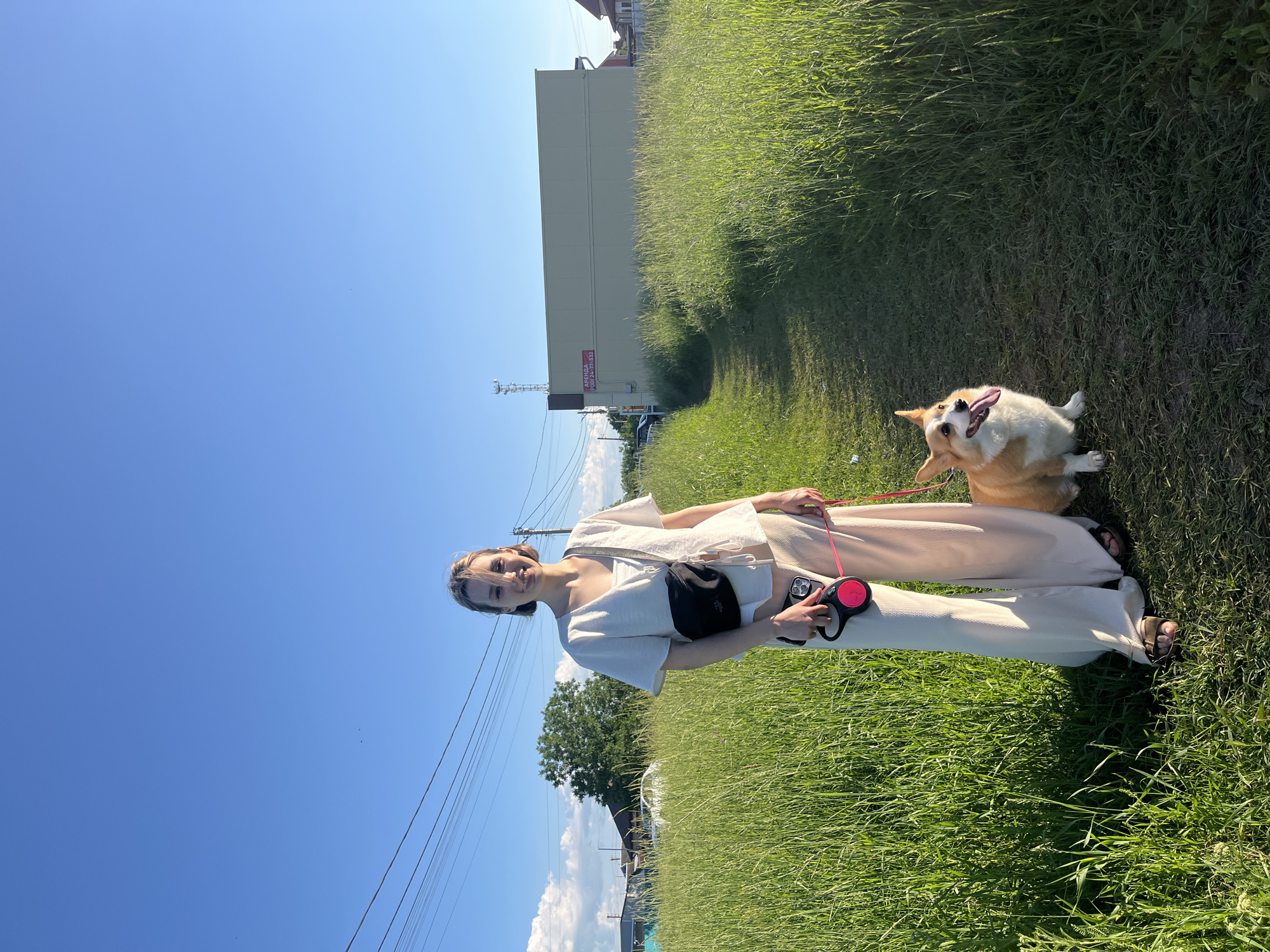 Corgi day out in Tikhoretsk with walks and errands