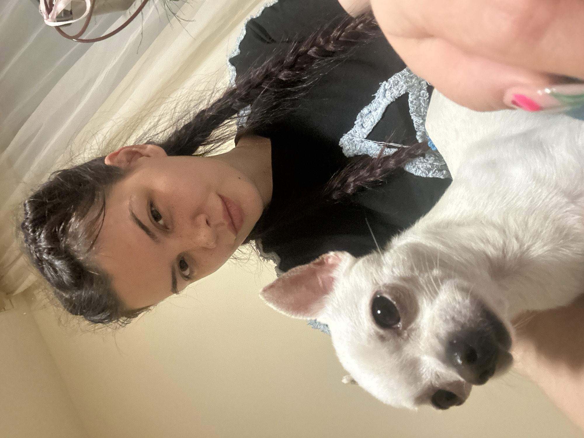 Woman takes selfies with Chihuahua during evening photo session