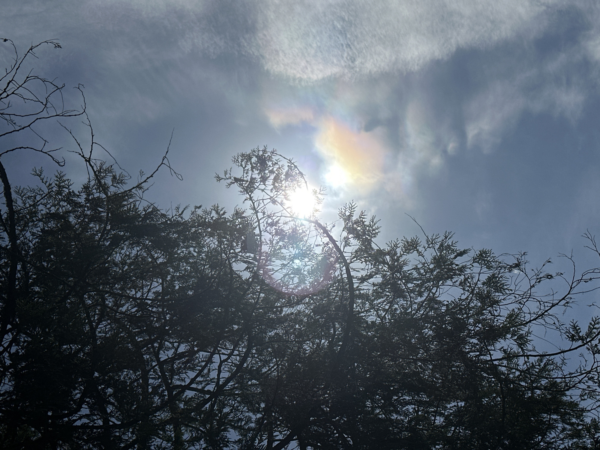 Bright afternoon skies observed in New Westminster