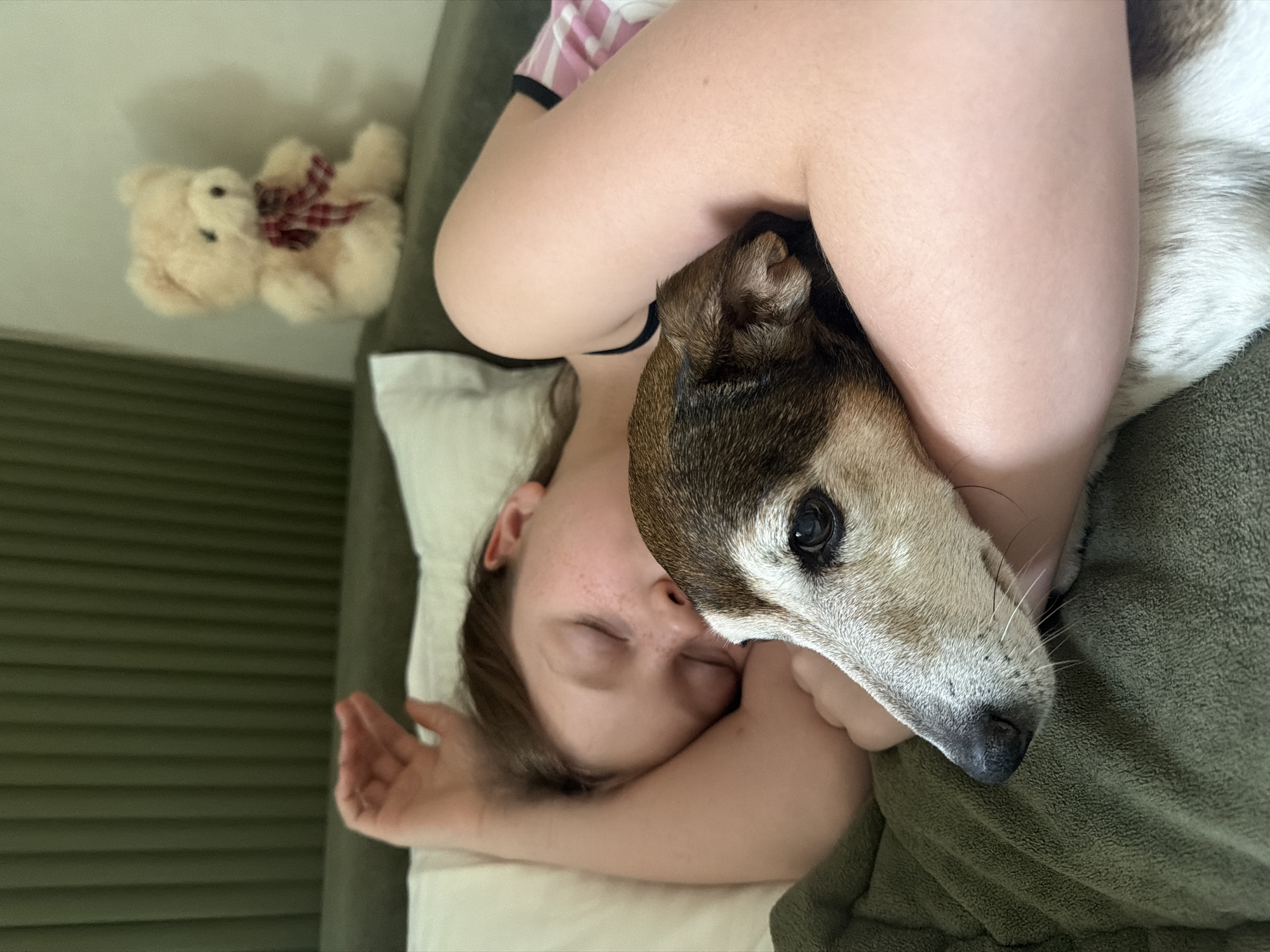 Quiet sleeping moments captured in Markovo homes early morning