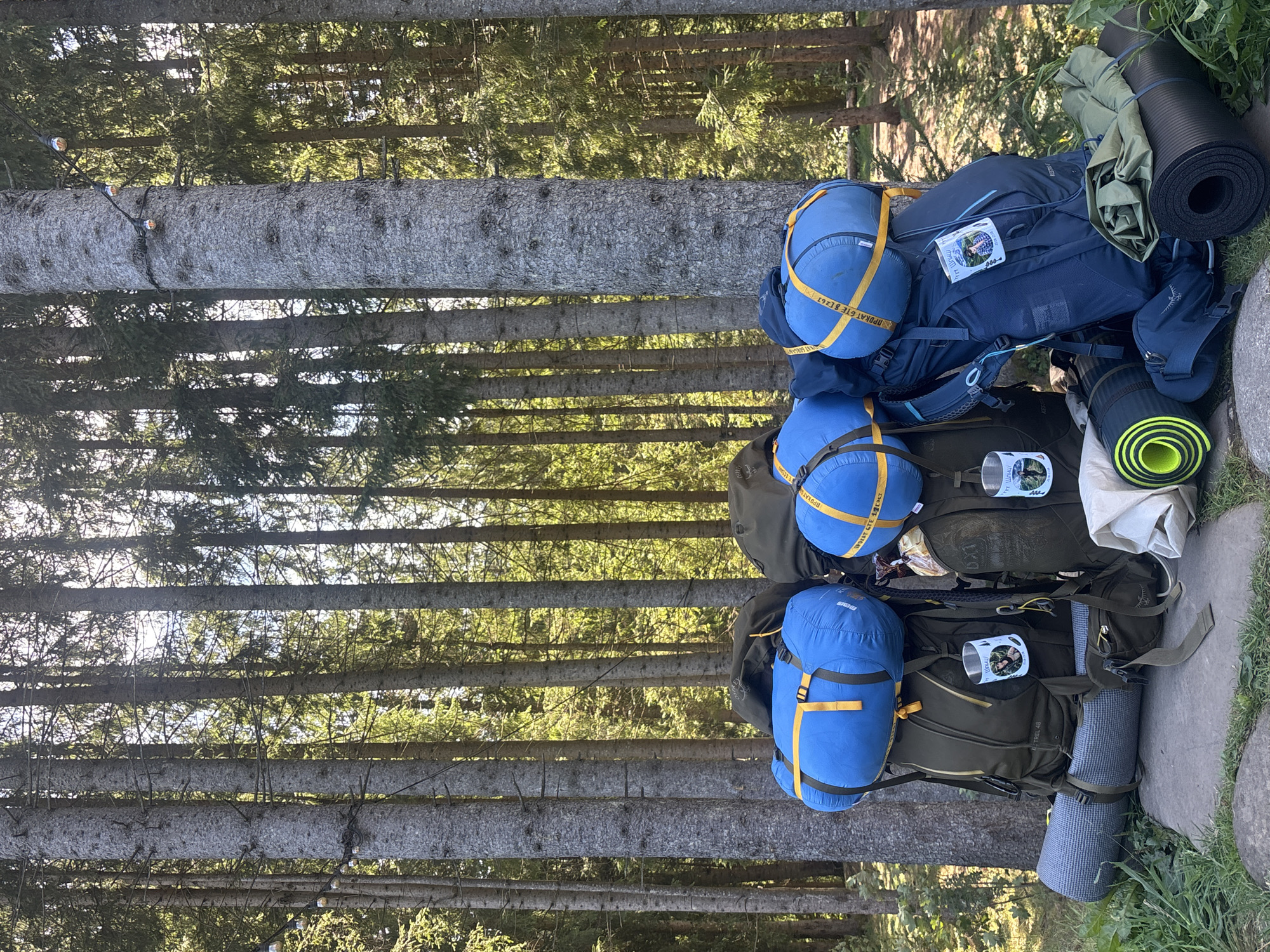 Hiking group gears up in the Carpathian forests near Vorokhta