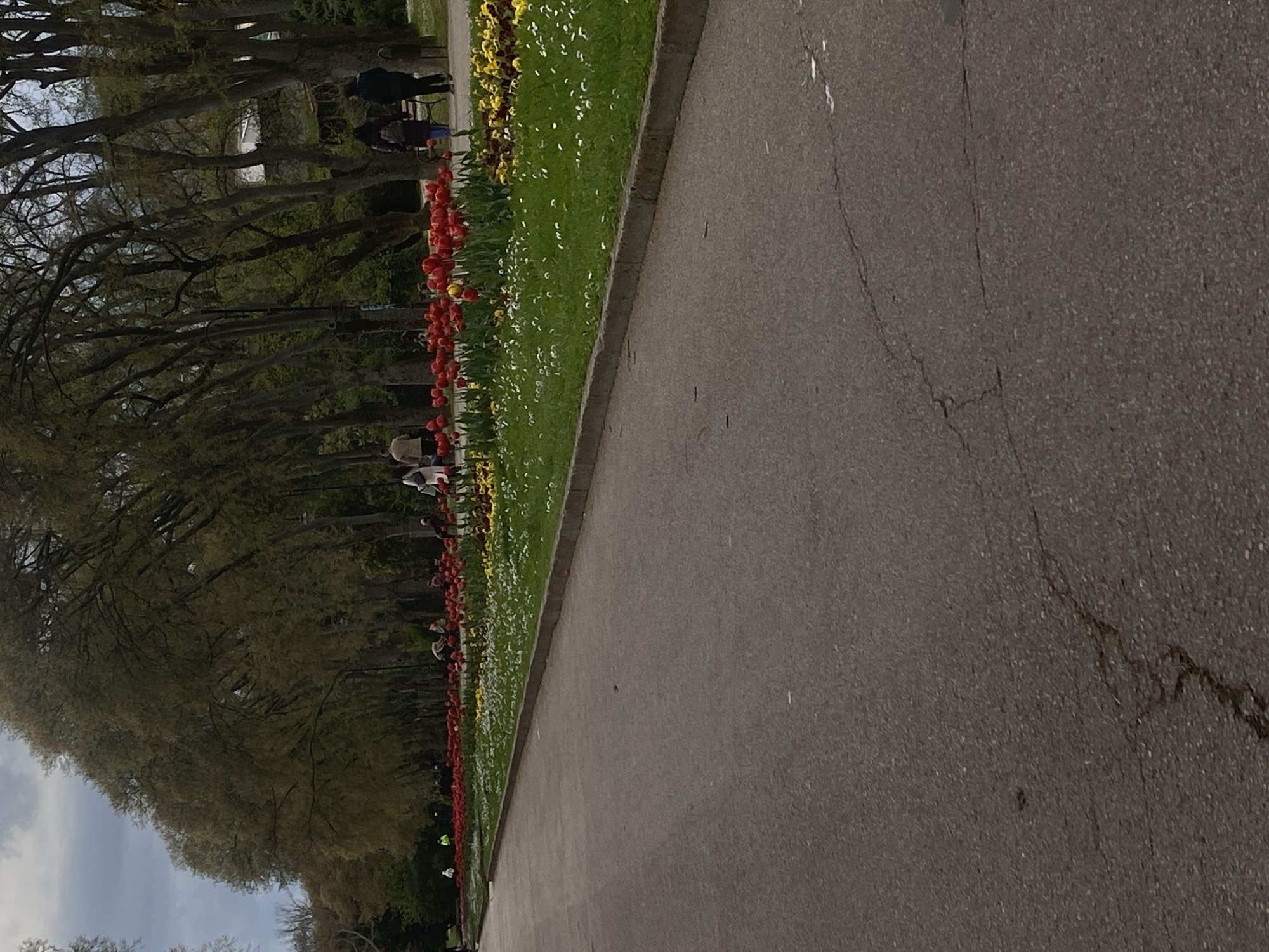Spring afternoon documented across parks and streets in Varna