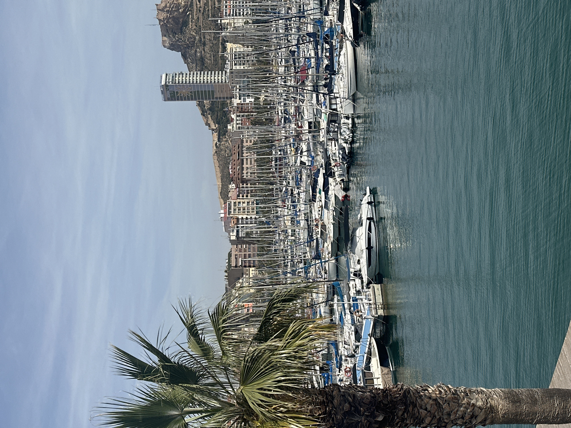 Sunny morning scenes documented at Alicante Marina, Spain