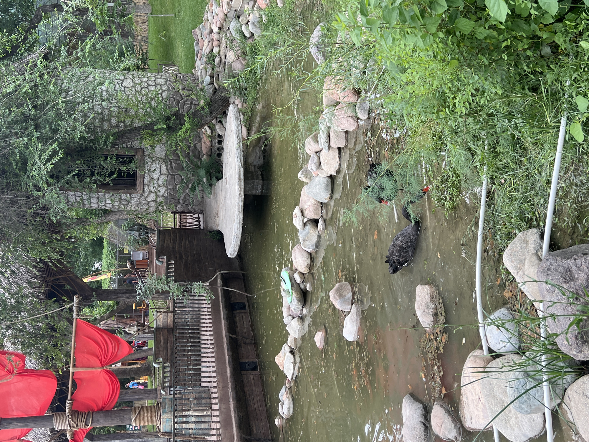 Visitor captures diverse attractions at Tashkent Eco Park and Zoo