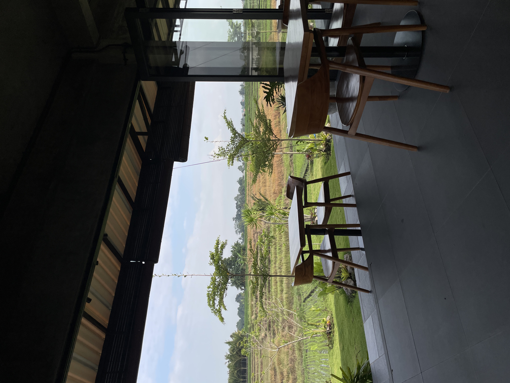 Rice paddy cafe views and a coffee stop in Kediri