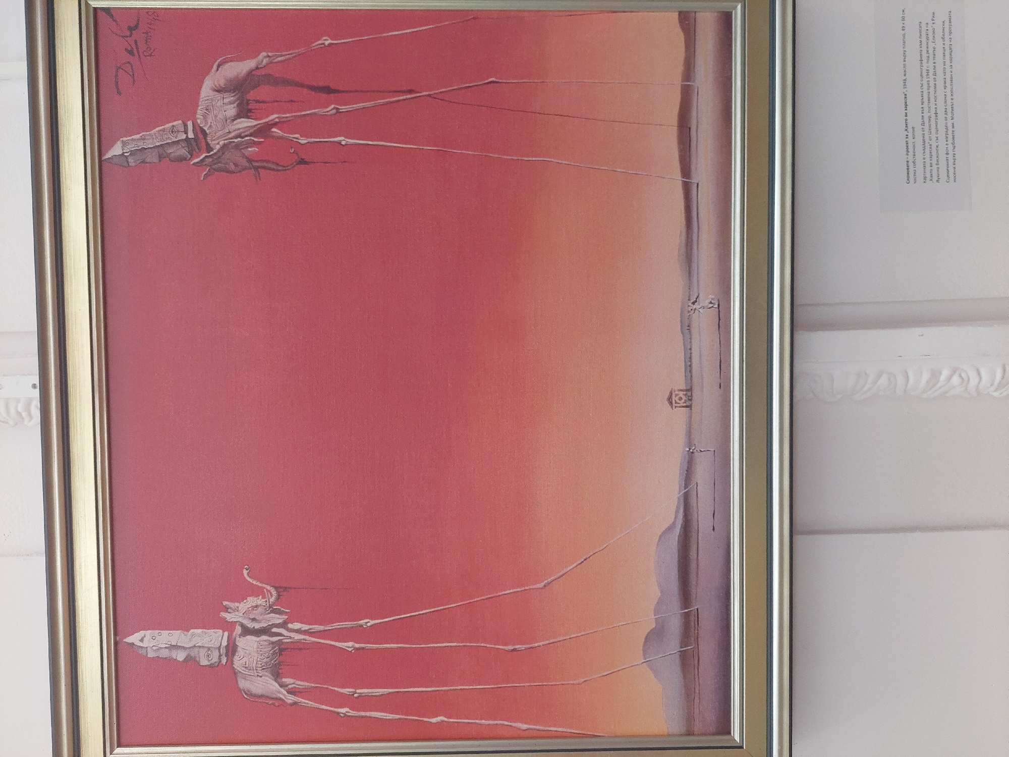 Salvador Dalí art exhibition documented at unknown museum location