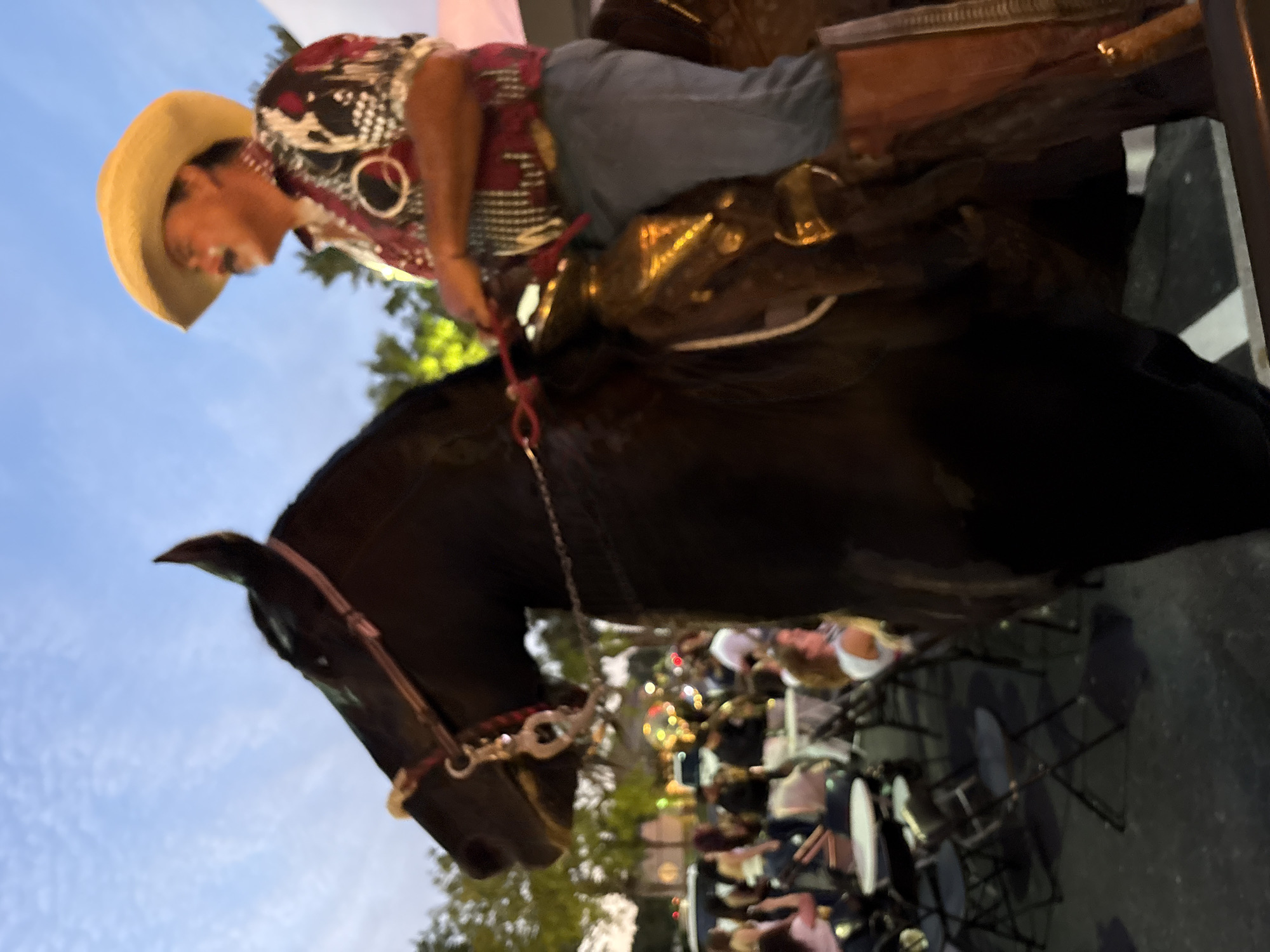 Cowboy spotted riding horse through unidentified city streets
