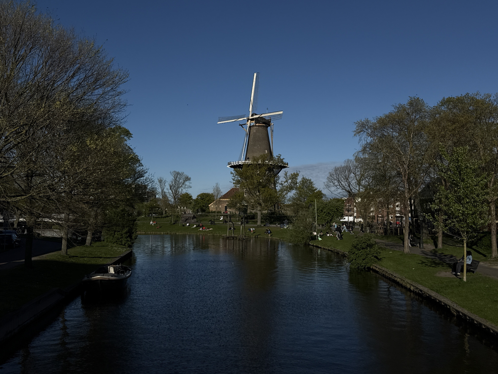 Afternoon leisure scene captured along Leiden canal near windmill