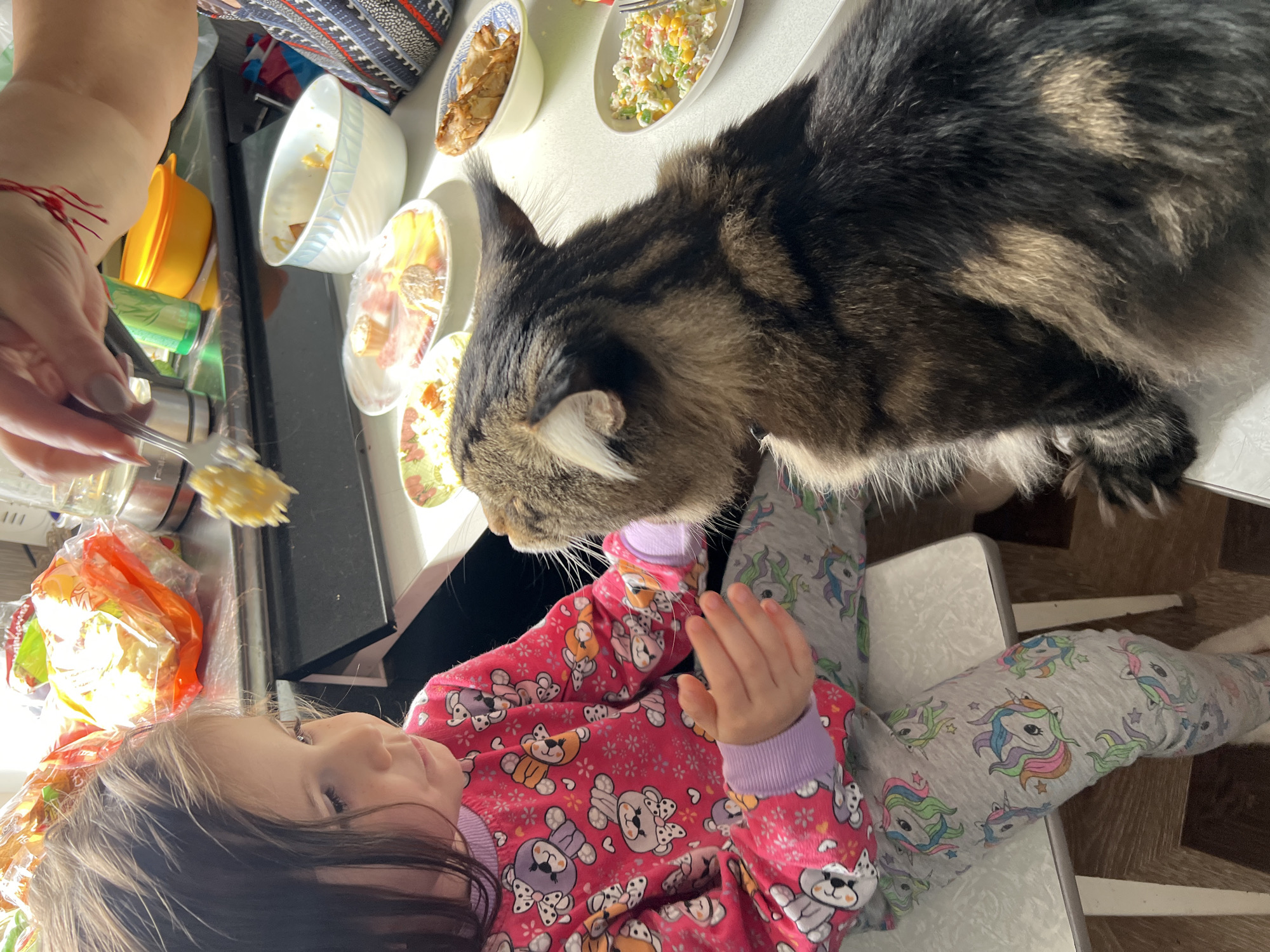 Cats and casual moments in a Zlatoust kitchen