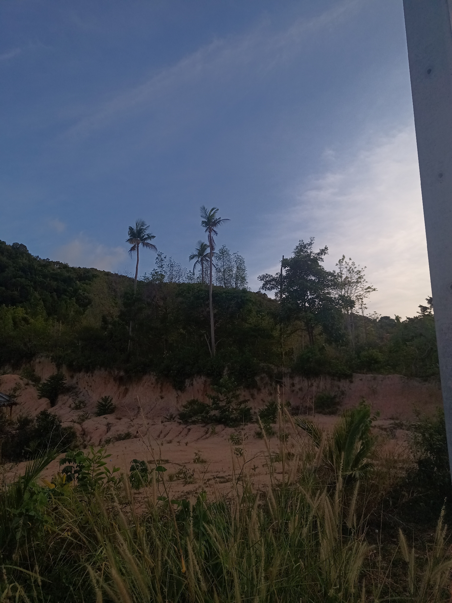 Rural landscapes documented in Moo 4, Thailand during dawn