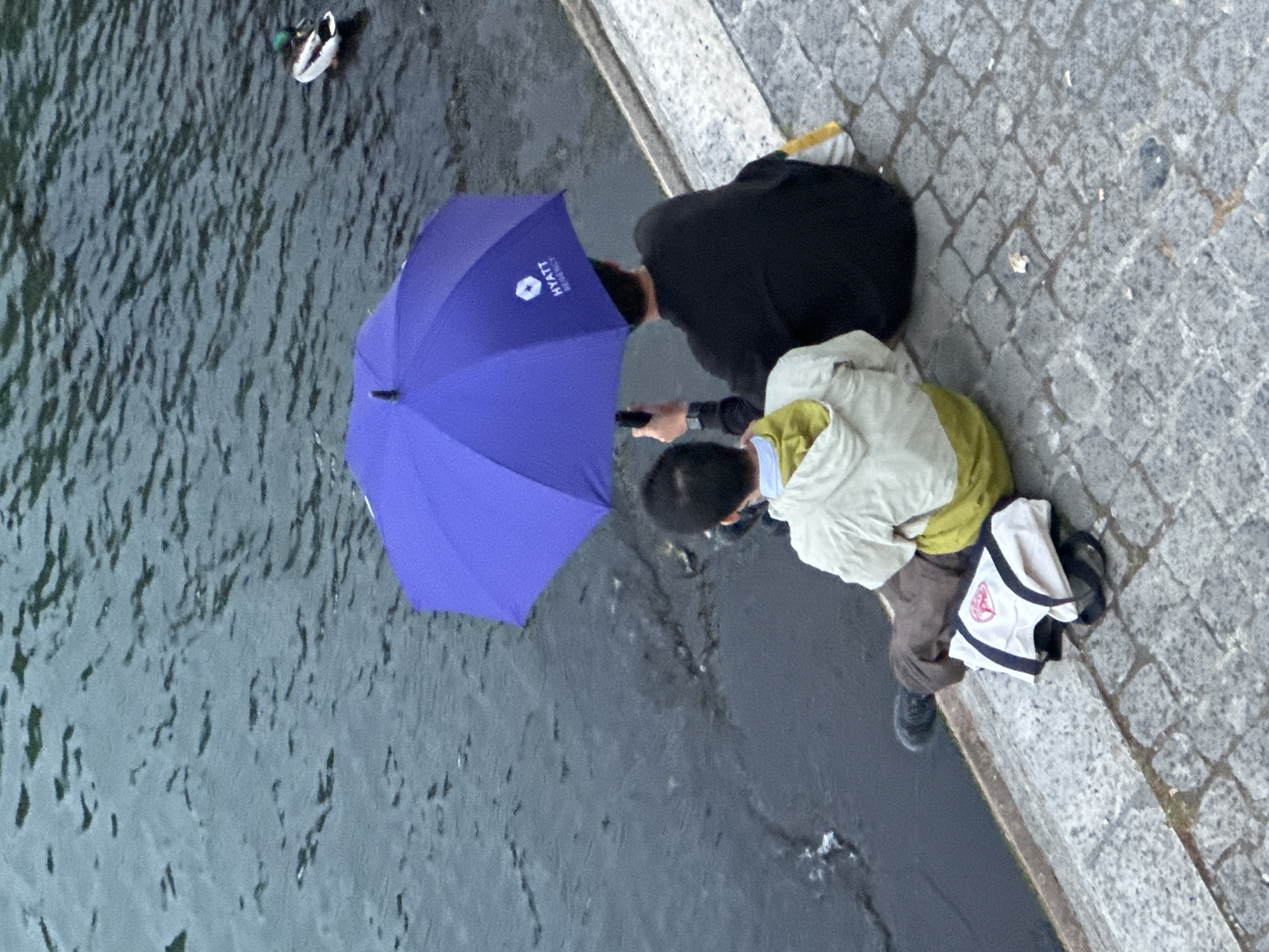 Paris evening life documented across Seine riverfront landmarks