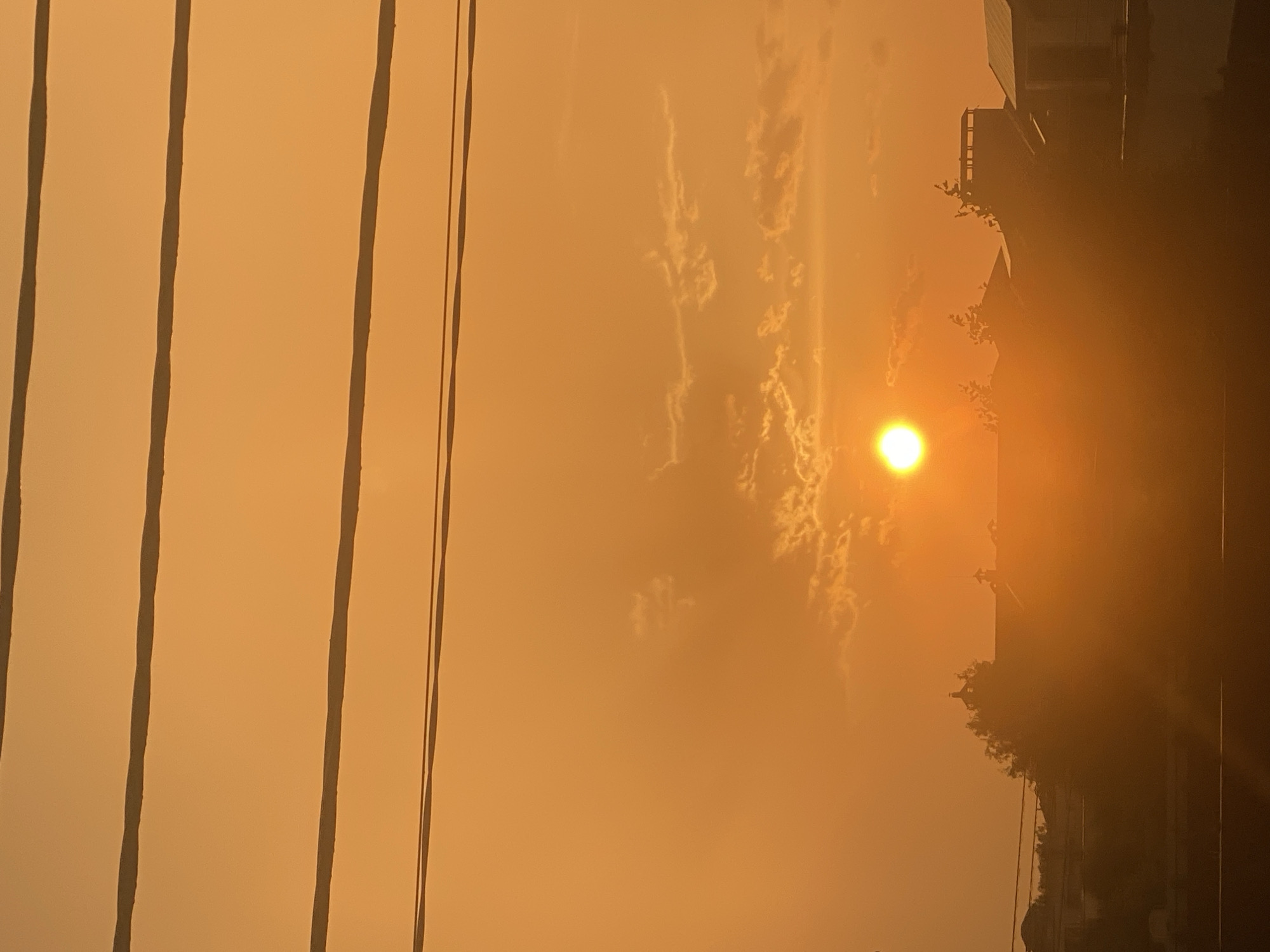 Golden-hour sunset documented across a quiet Novi Petrivtsi neighbourhood